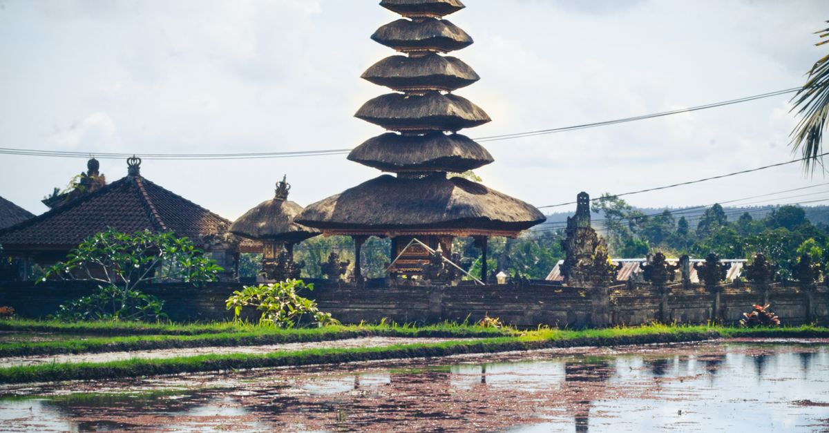Temple balinais reflété dans une rizière