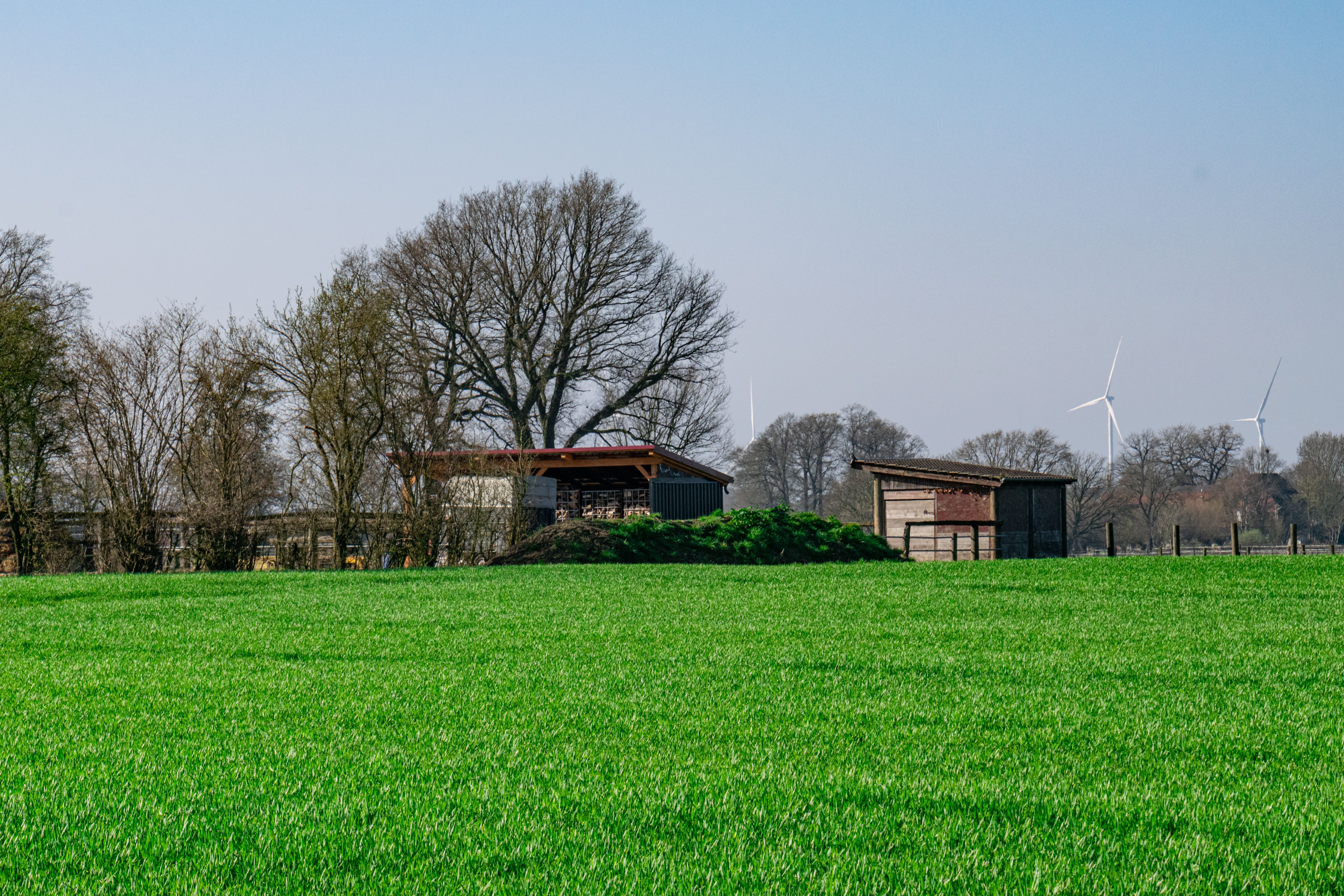 What happens afterwards? The lifecycle of renewable energy facilities — Photo by Sergej 📸 on Pexels