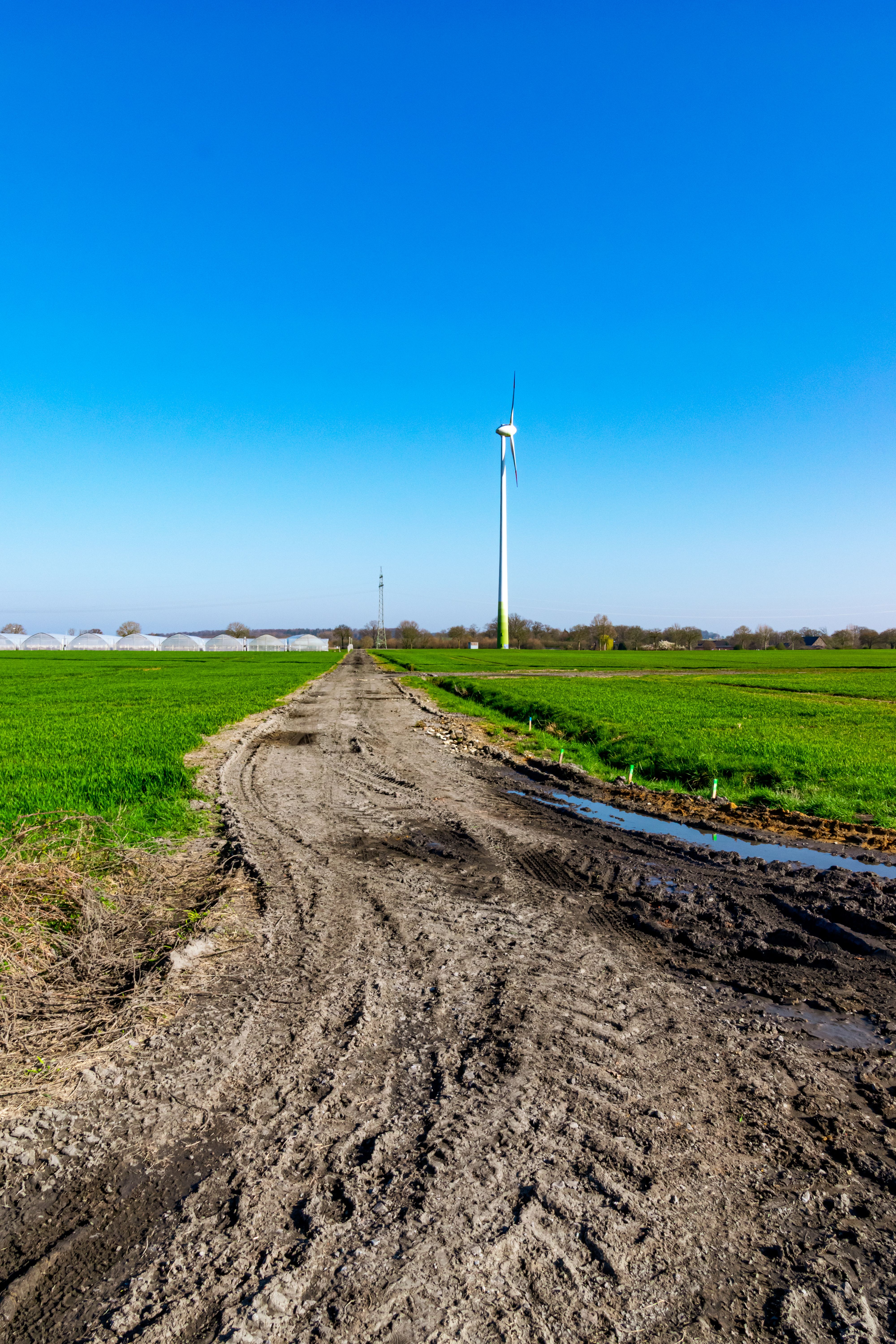 Rural Wind Turbine Landscape in Coesfeld · Free Stock Photo