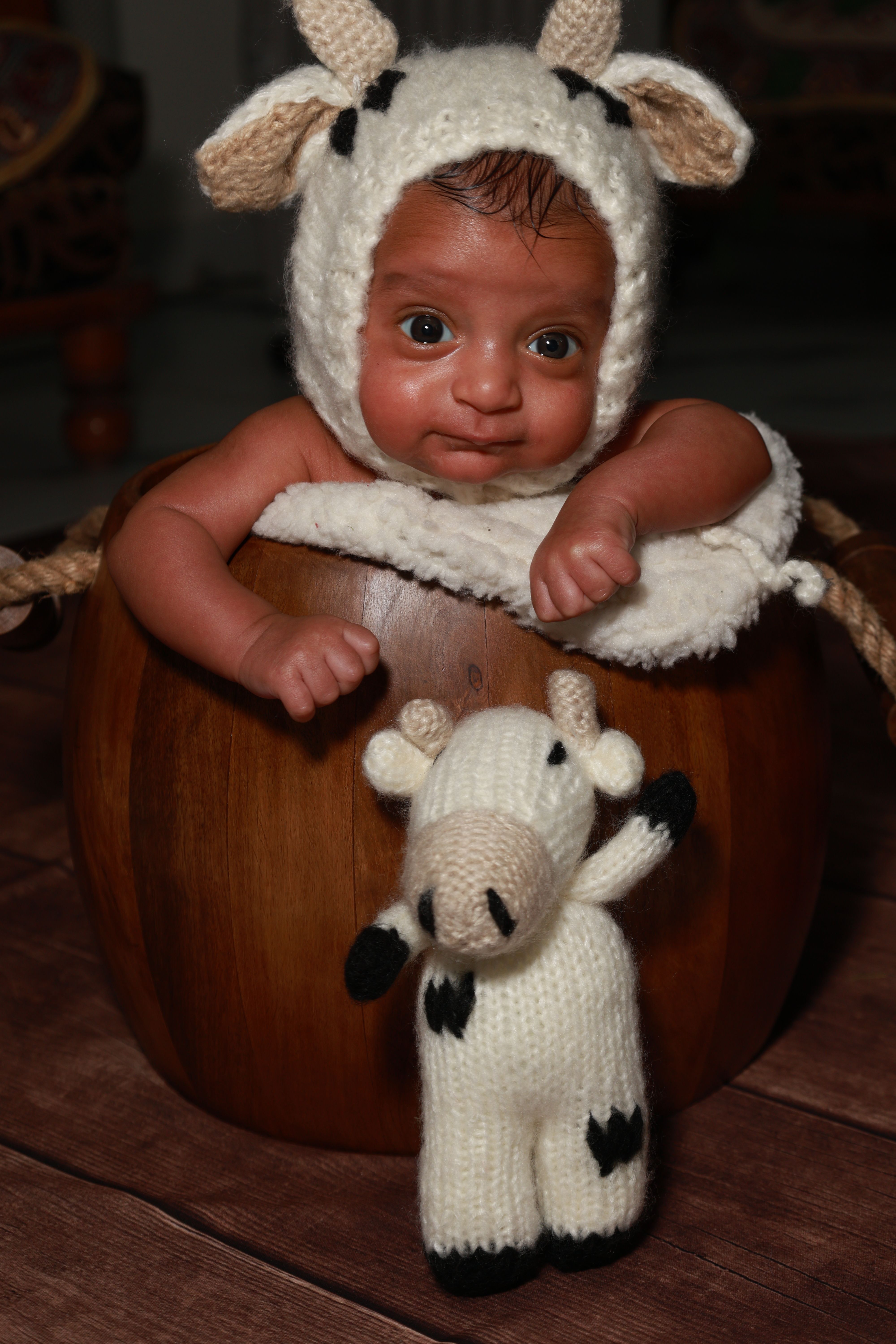 Cute baby in a cow knit costume inside a wooden bucket, posing playfully with a matching toy.