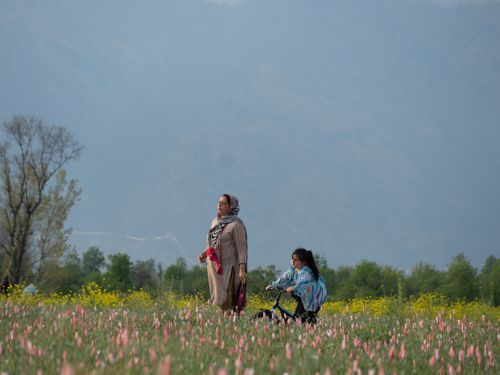Free A mother and daughter stroll through a vibrant flower field with mountains in the backdrop. Stock Photo
