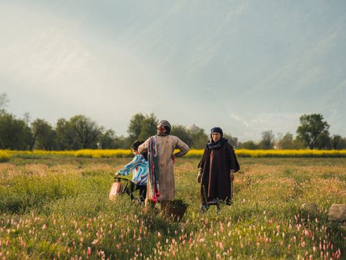 Free Three women working in a scenic rural field with pink and yellow flowers under mountain backdrop. Stock Photo