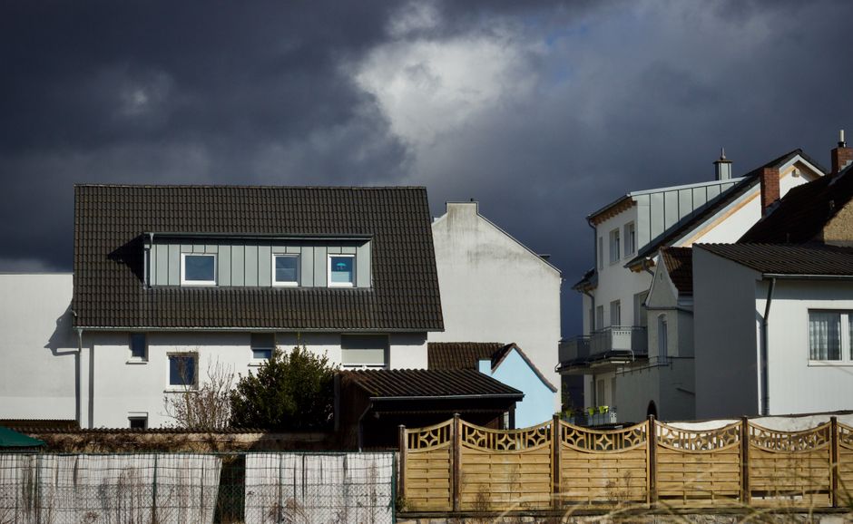 Home Insurance for Properties at Risk of Tree Root Damage UK 2026