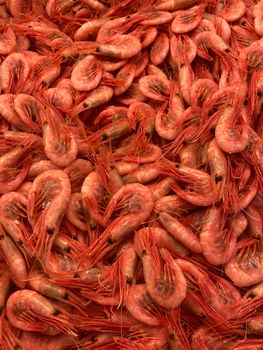 A vibrant display of prawns featured in Göteborg’s local fish market, Sweden.