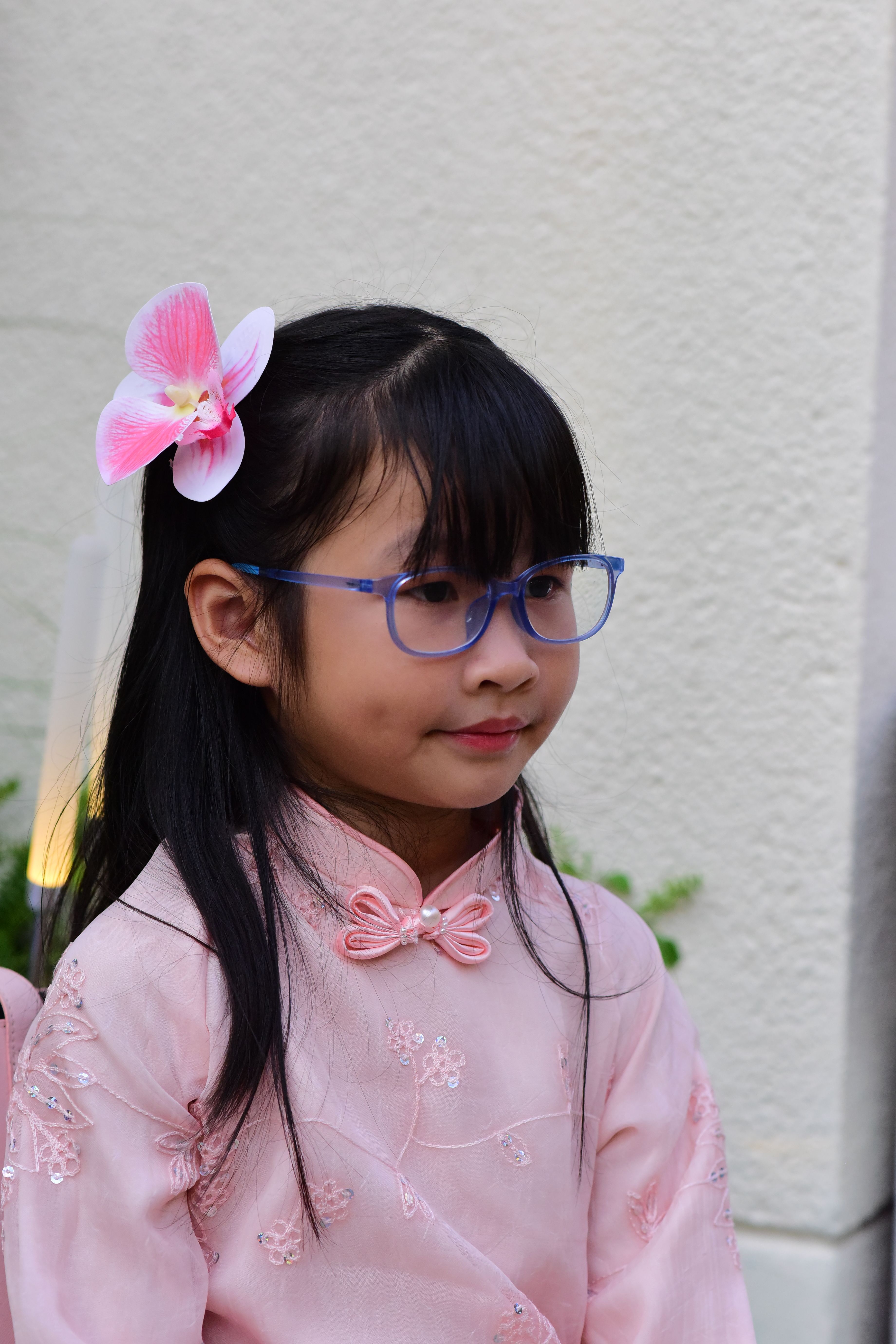 Young Girl in Pink Traditional Dress Outdoors · Free Stock Photo
