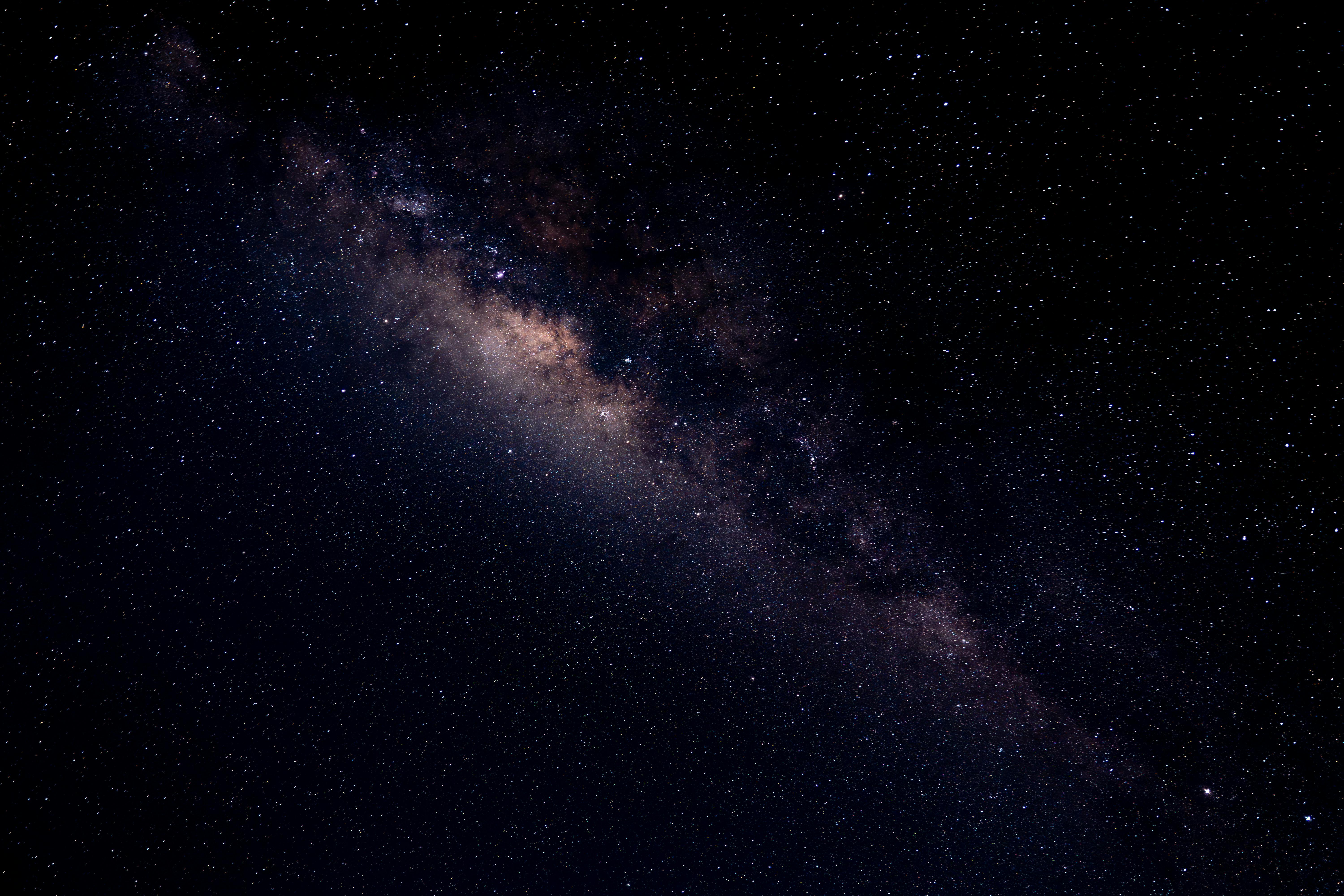 Super Mario Galaxy Movie reviews are in and, surprise: it's execrable churn — Photo by Thilina Alagiyawanna on Pexels