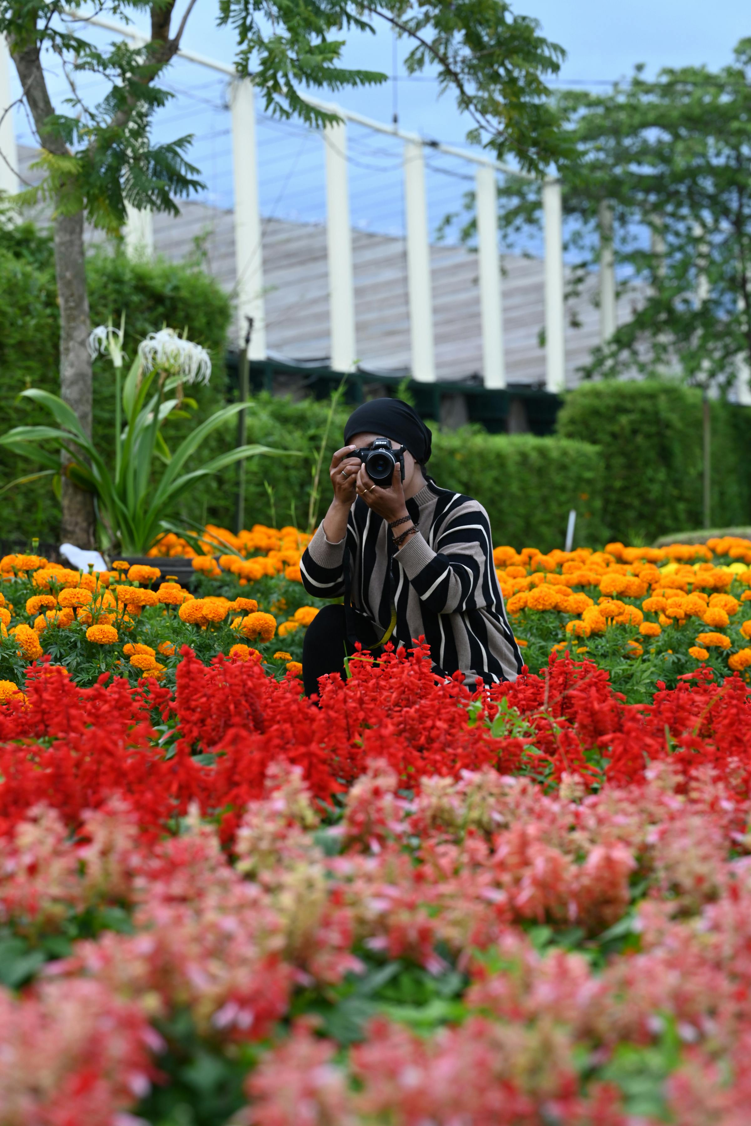 Person taking photos amidst colorful flower garden, capturing nature's beauty.