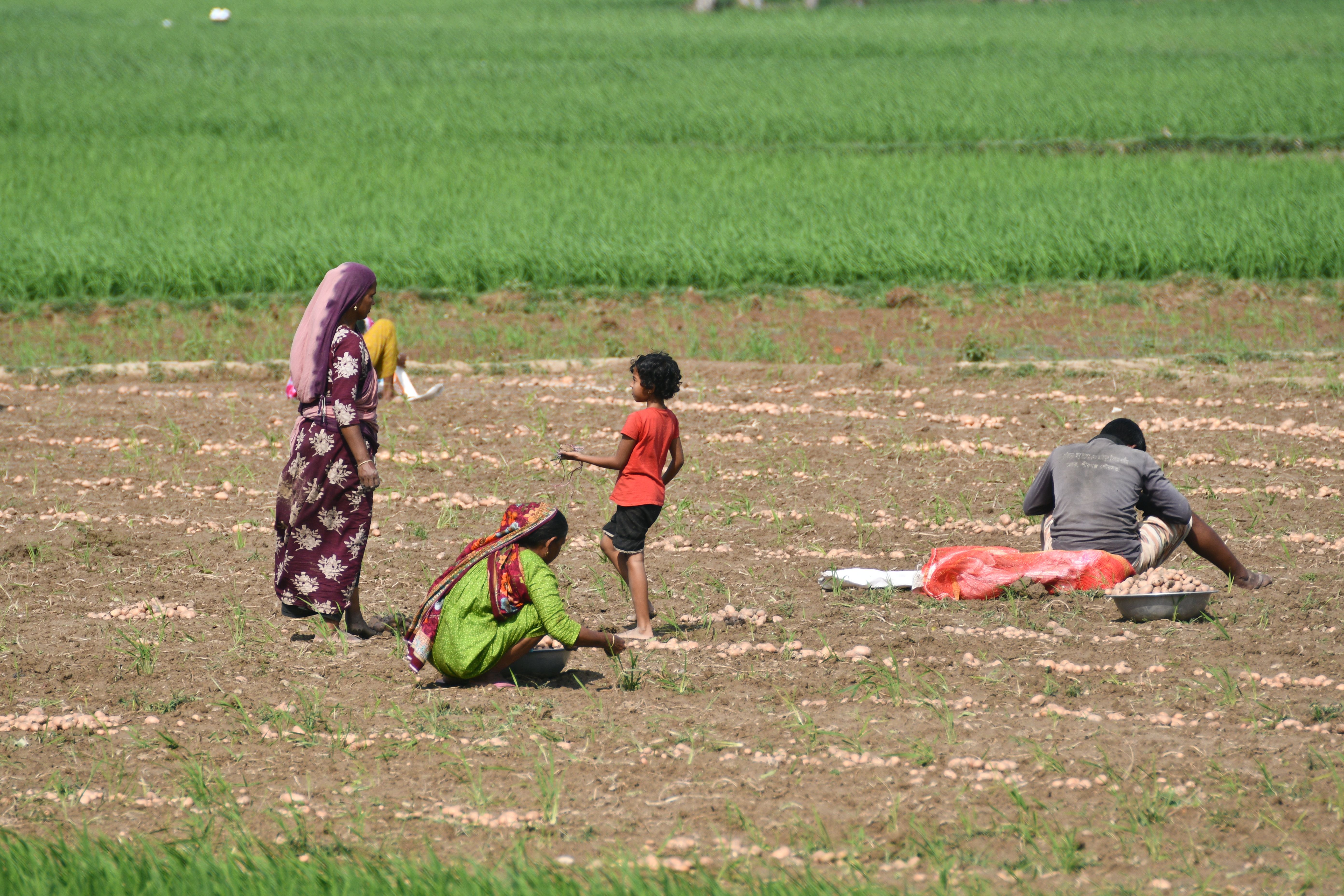 Bidadi Farmers Celebrate Land Victory, but Devanahalli Lessons Loom Large