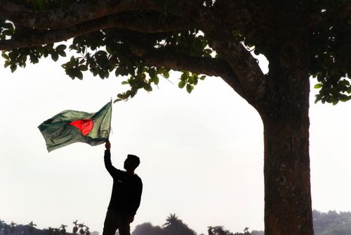 Free A man holding the Bangladeshi flag silhouetted against a tree, symbolizing national pride. Stock Photo