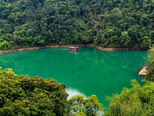 Free Idyllic view of a vibrant green lake surrounded by dense forest and a small boat cruising. Stock Photo