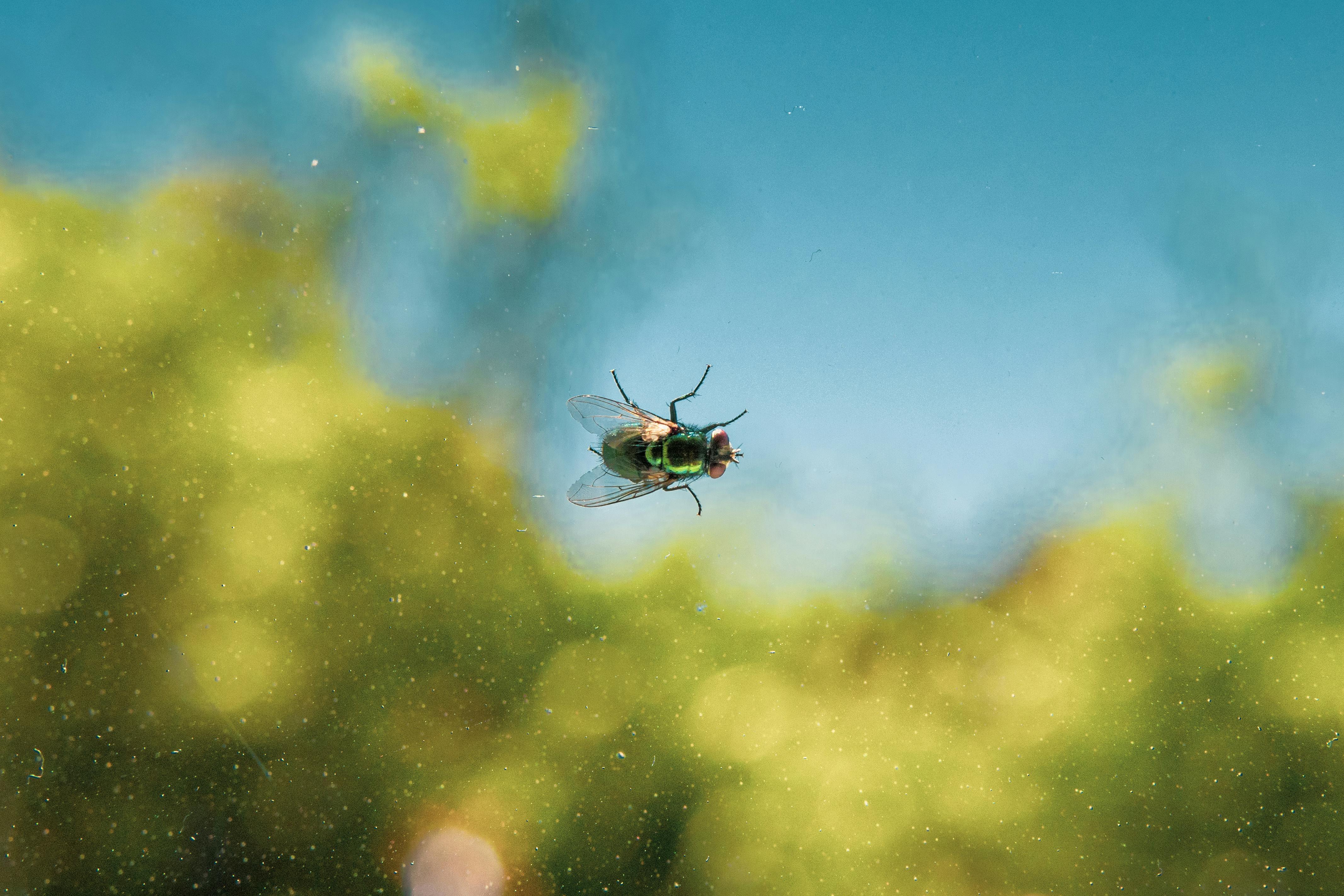 Adobe launches Firefly AI Assistant public beta with cross-app workflow automation — Photo by muhammad nadeem on Pexels