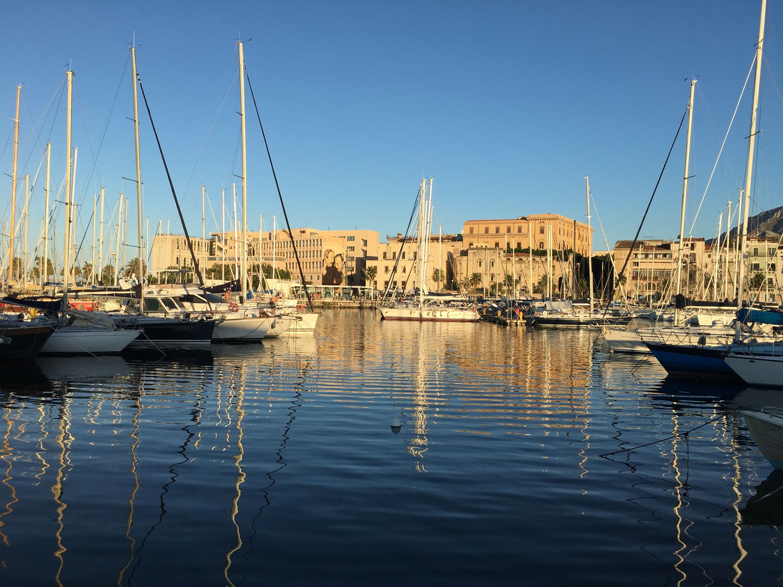 Cazare în Palermo: iahturi în portul La Cala, la marginea cartierului Kalsa