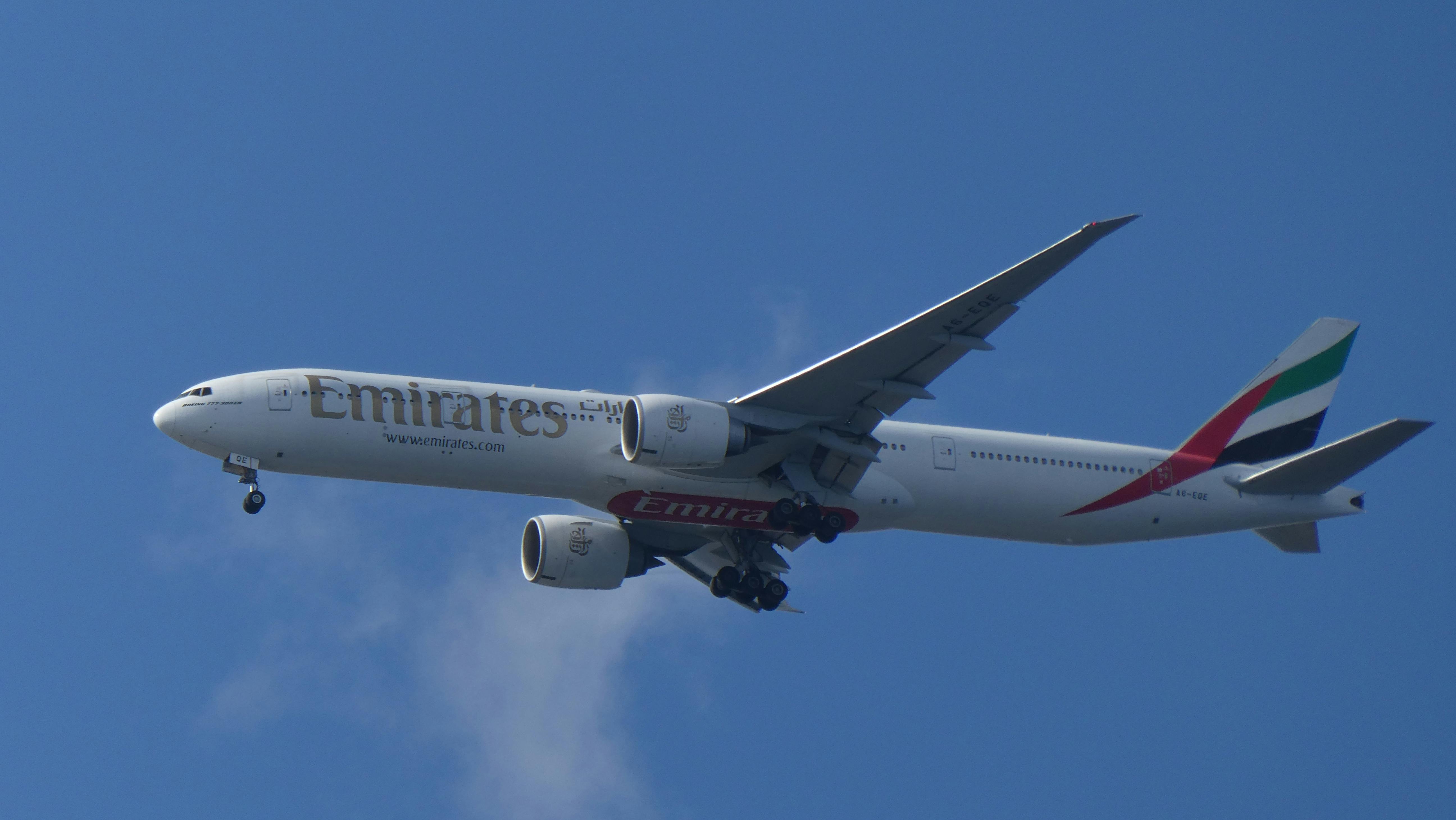 How Many Miles for a Free Flight, Broken Down by Airline — Photo by Nikos B on Pexels