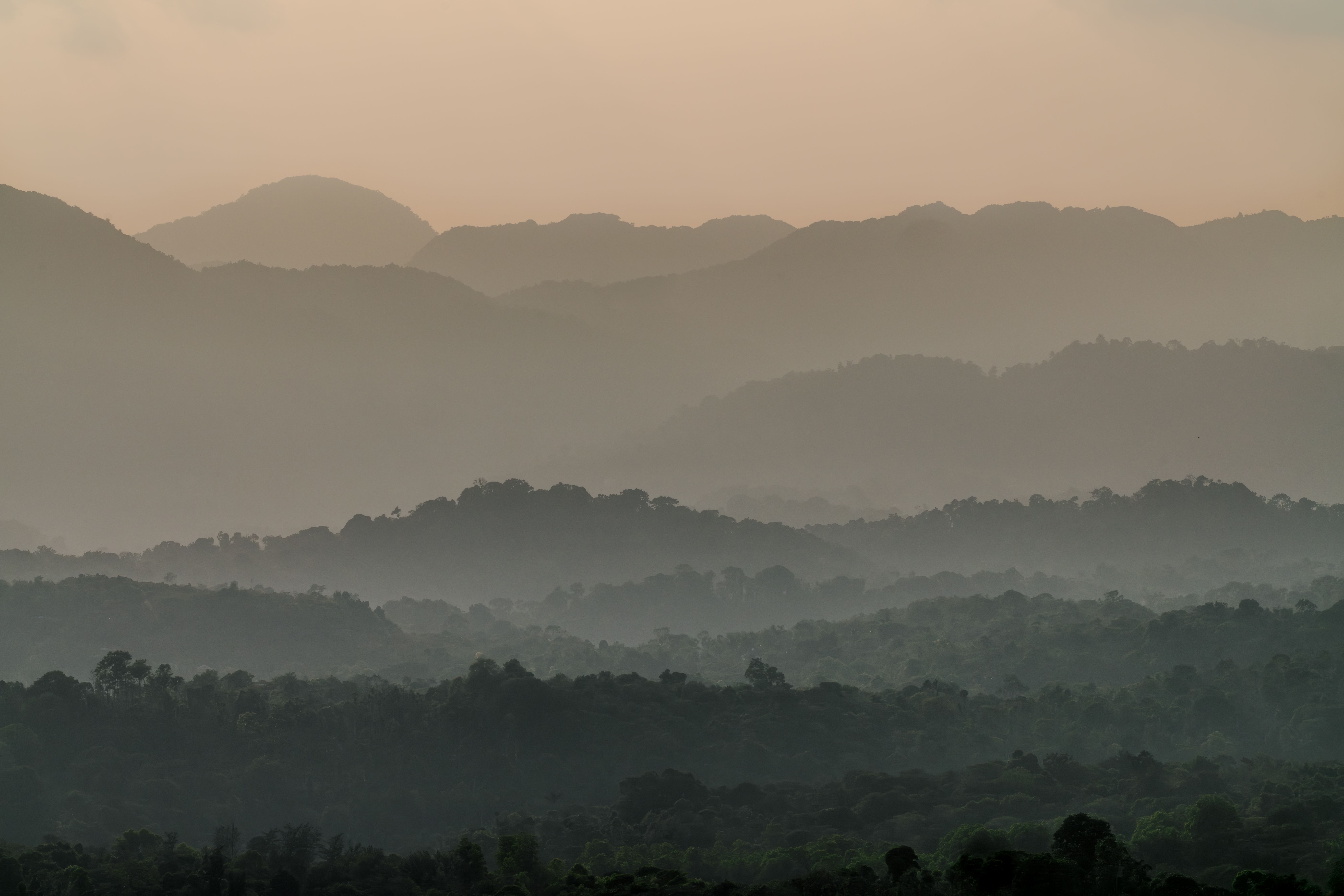 Scenic view of a misty mountain range enveloped in early morning light.. scenic, view, misty