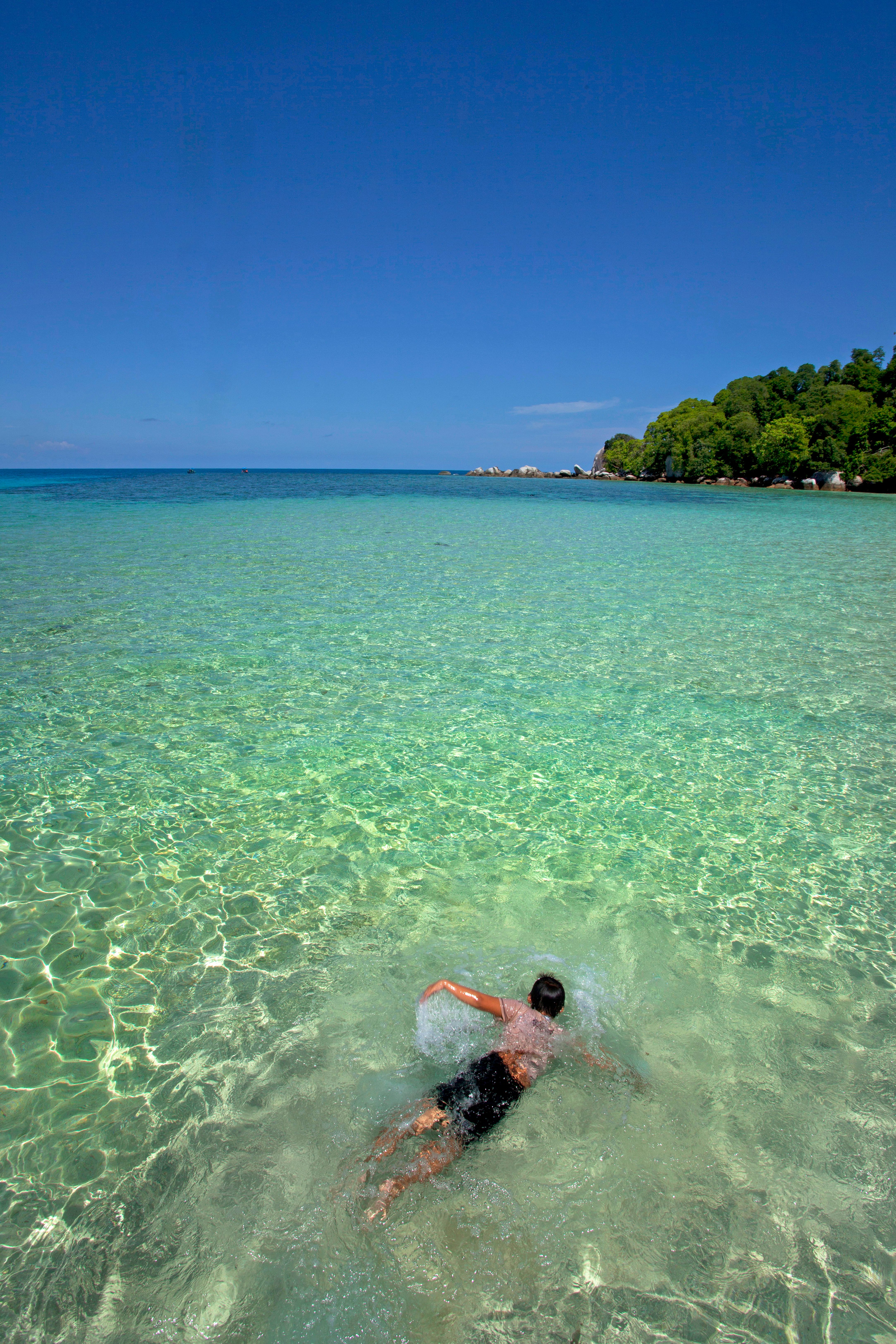 Person swimming in clear turquoise waters near a lush island on a sunny day.