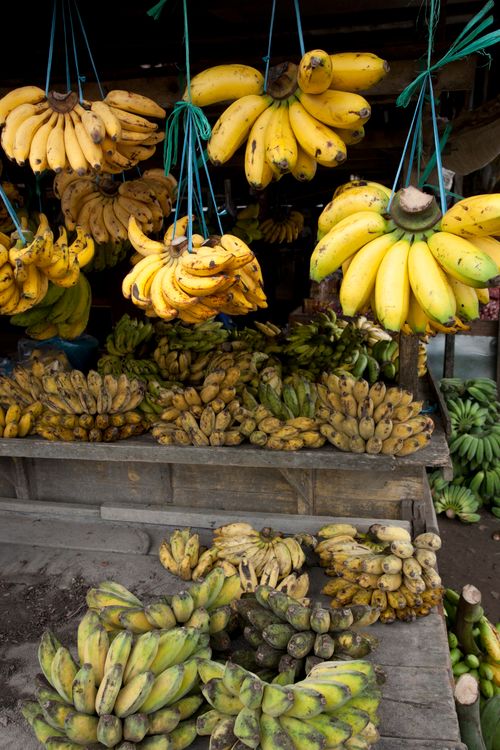 Free Colorful display of bananas hanging and stacked at an outdoor market stall. Stock Photo