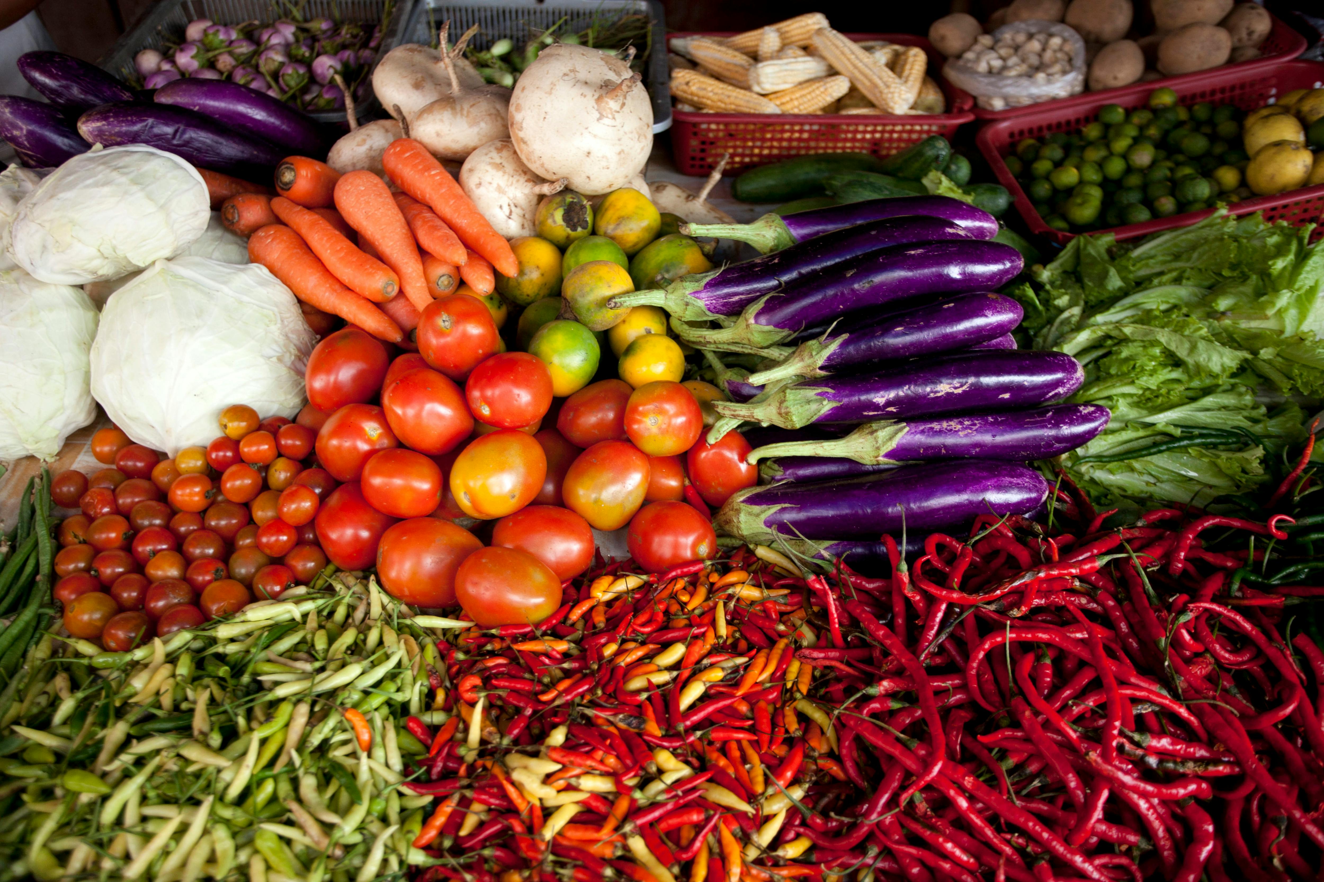 1 in 6 Americans Follow Specialized Diets — Photo by Jeffry Surianto on Pexels