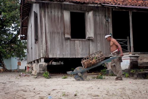 Free An elderly man pushes a cart beside a rustic wooden house in an outdoor setting. Stock Photo