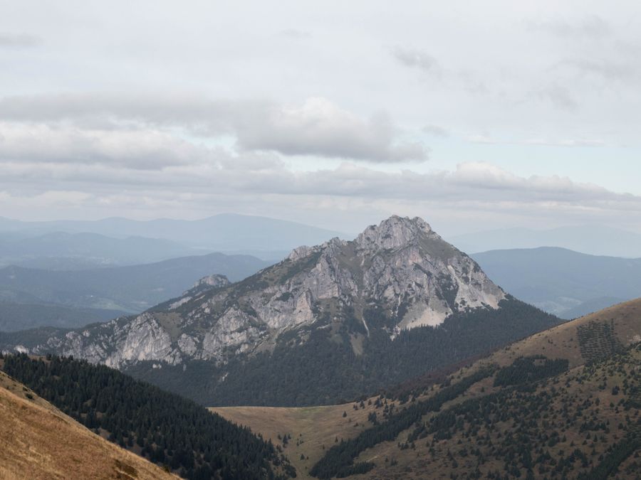 Skalnatý pyramidový vrchol Velkého Rozsutce nad zalesněnými svahy Malé Fatry