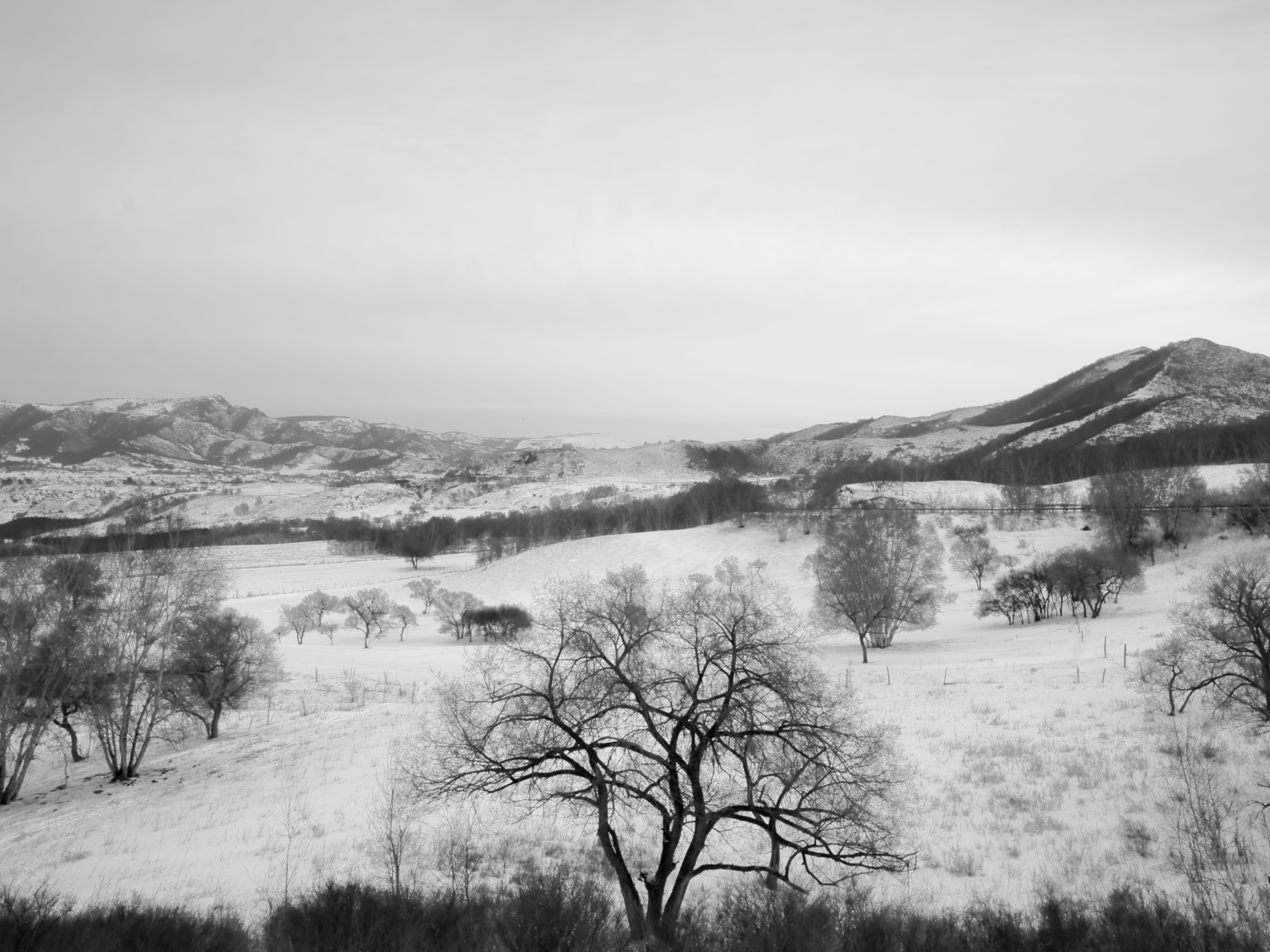Serene Winter Landscape with Snowy Mountains · Free Stock Photo