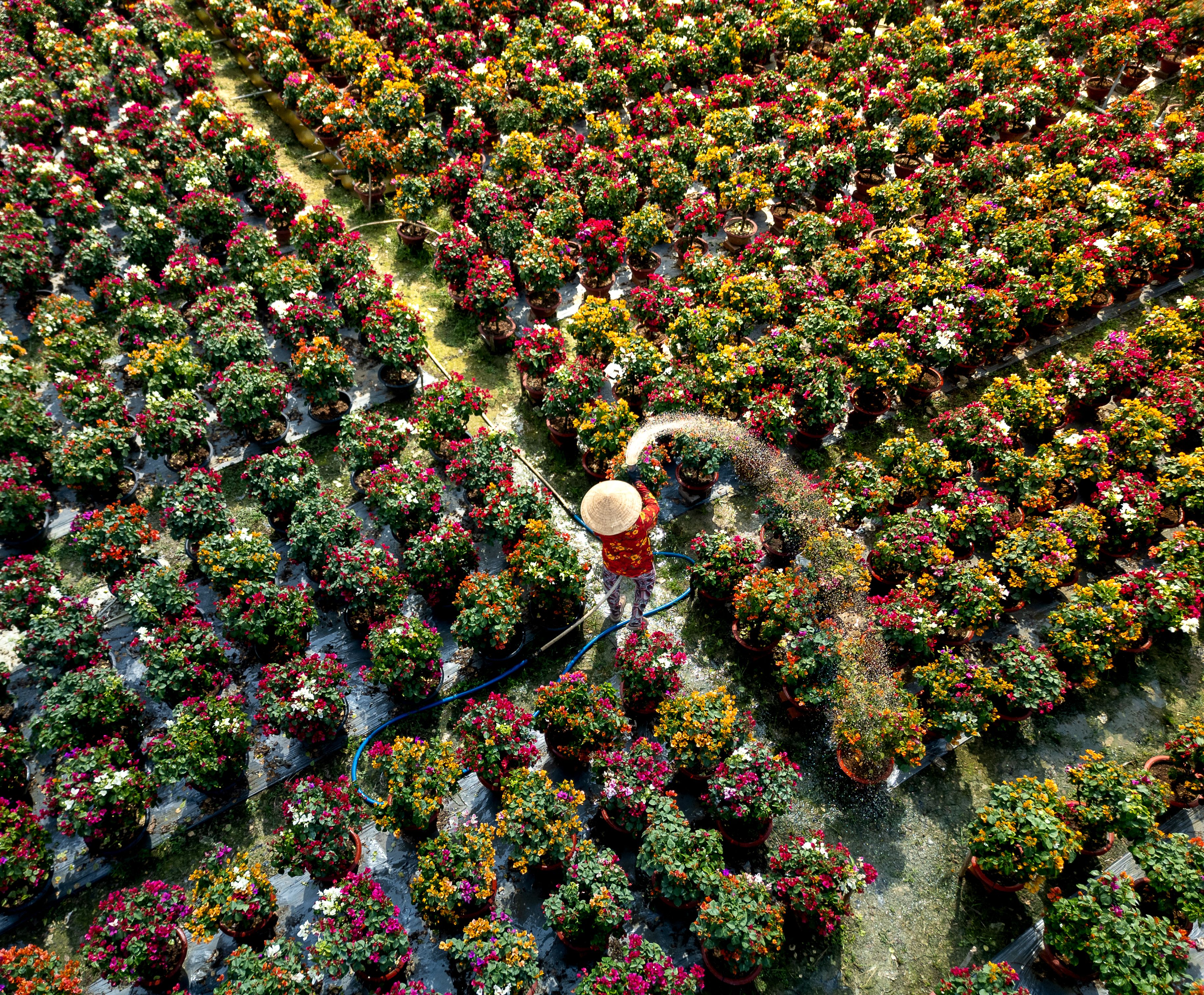 Aerial photo of a colorful flower market in Vietnam during spring celebration.