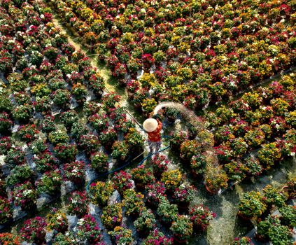 Aerial photo of a colorful flower market in Vietnam during spring celebration.