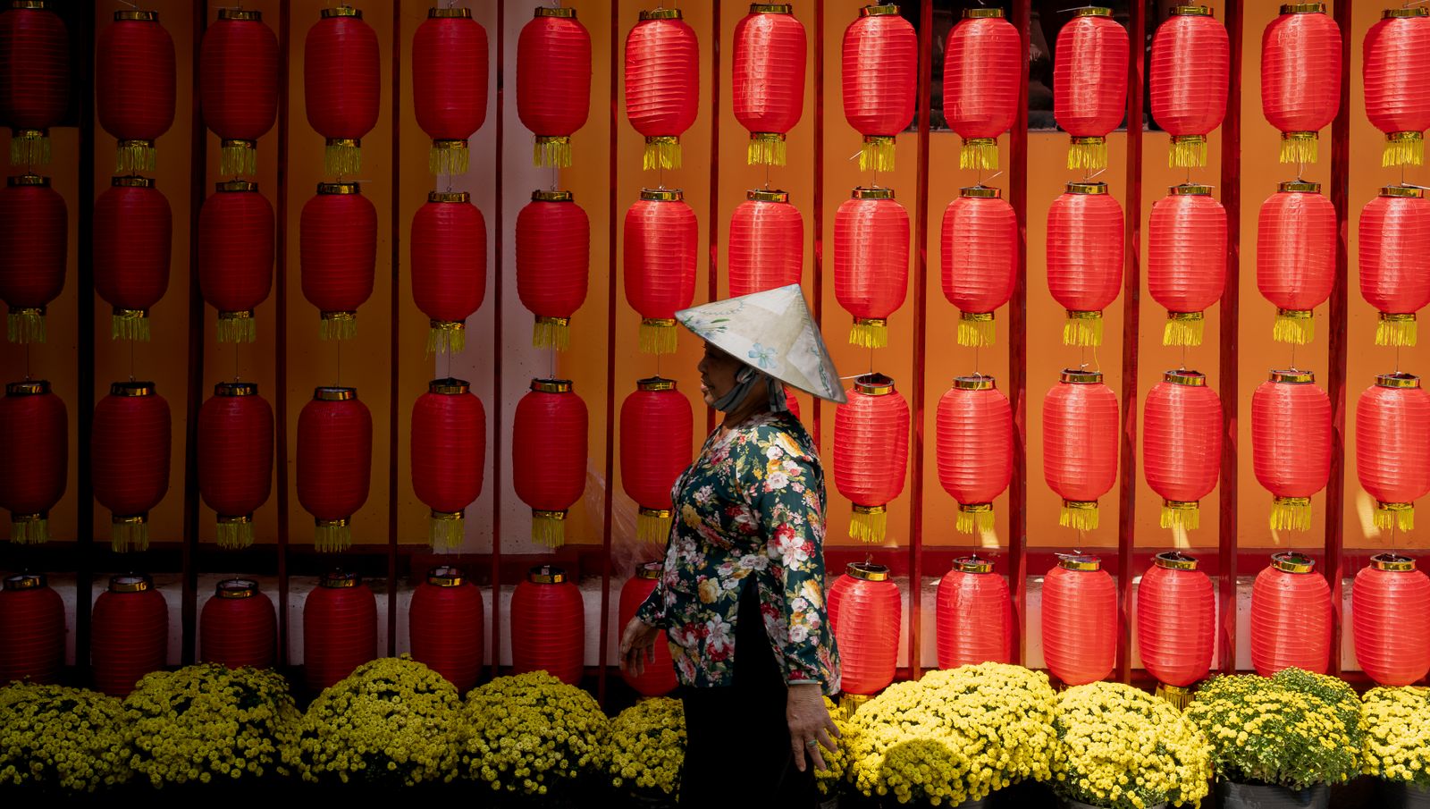 Vietnamese woman passing red lanterns and flowers during Tet festival season