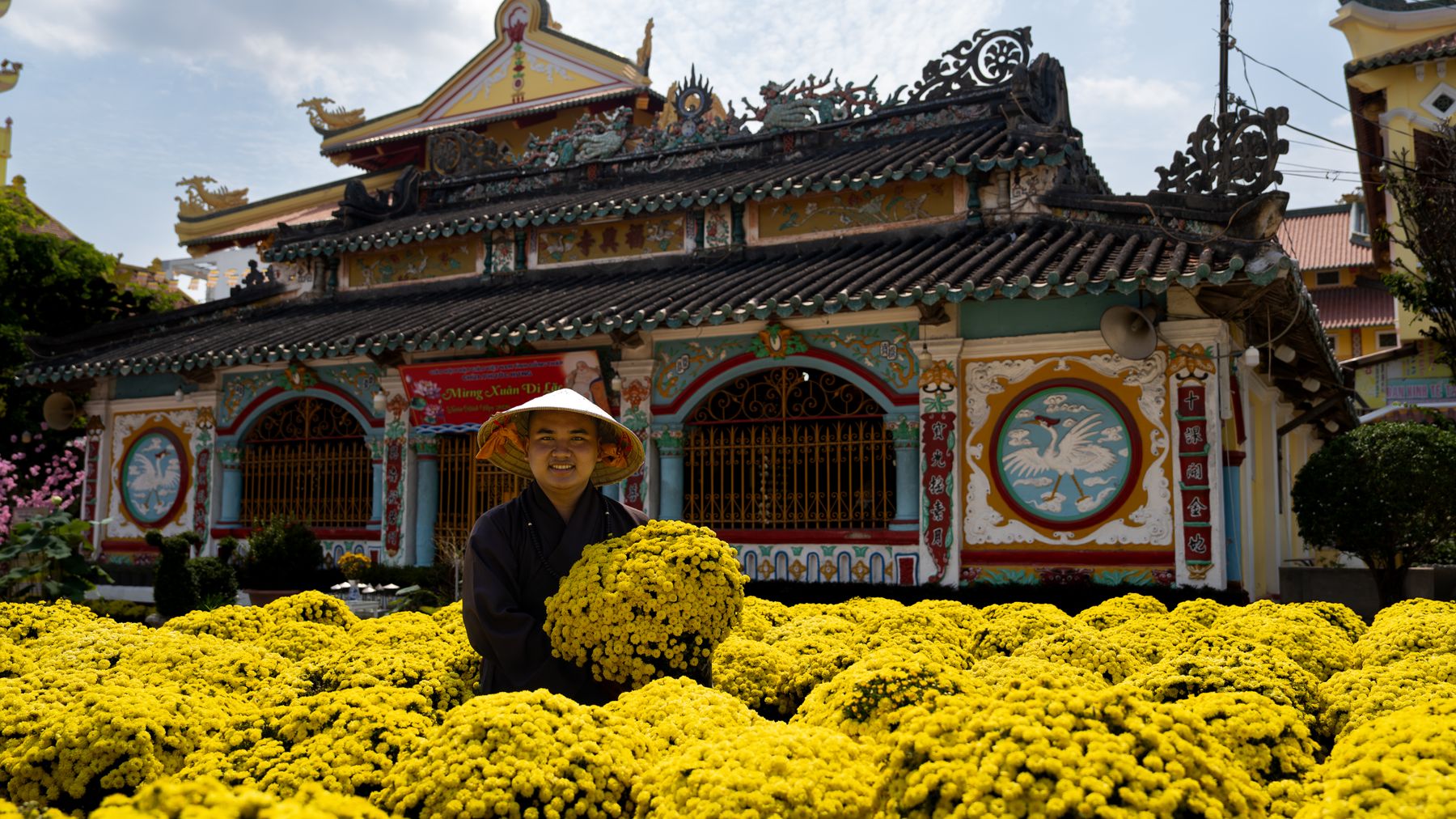 Colorful temple and blooming yellow flowers in Vietnam during a spring festival.
