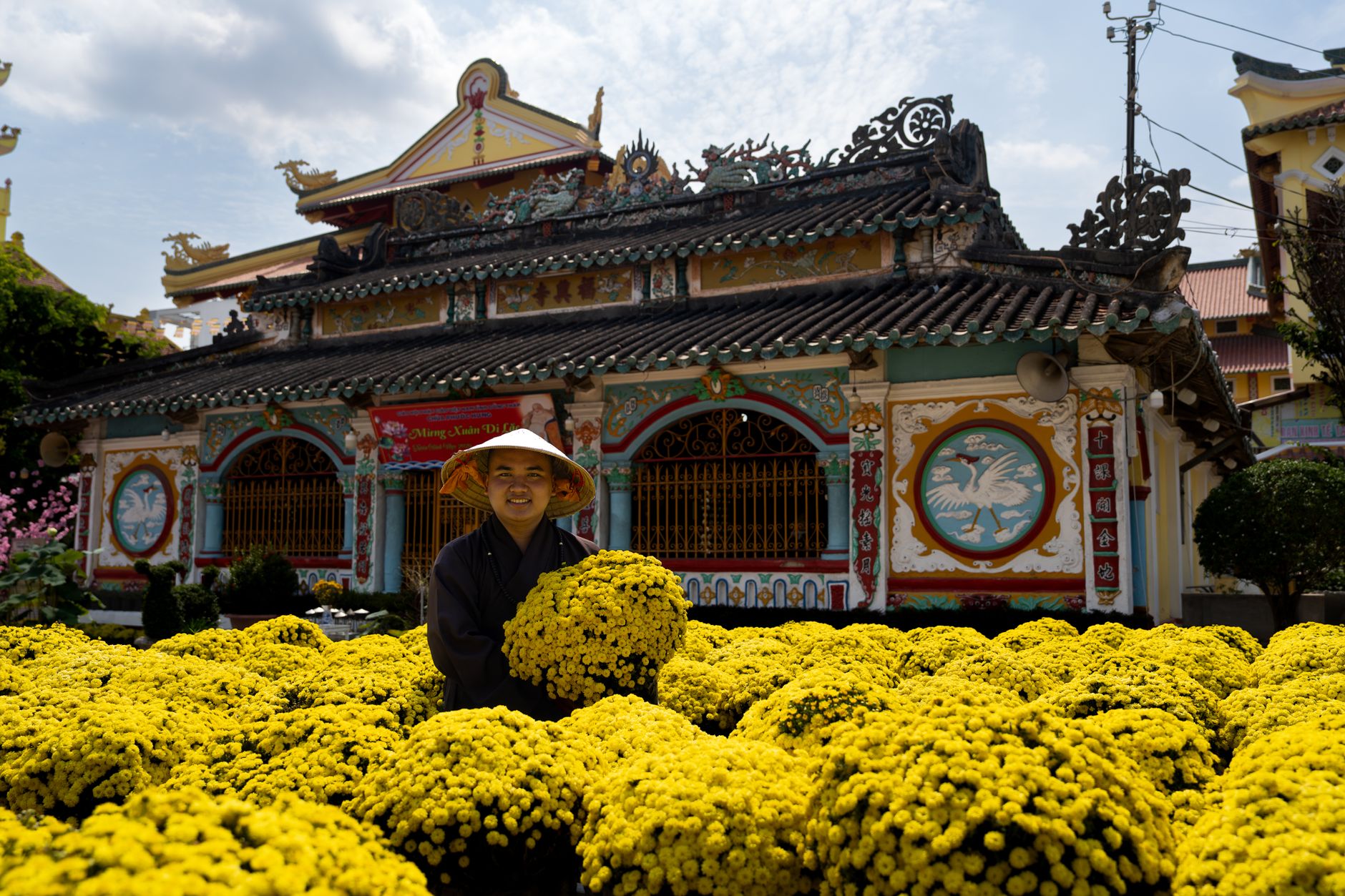 Templo colorido y flores amarillas floreciendo en Vietnam durante un festival de primavera.