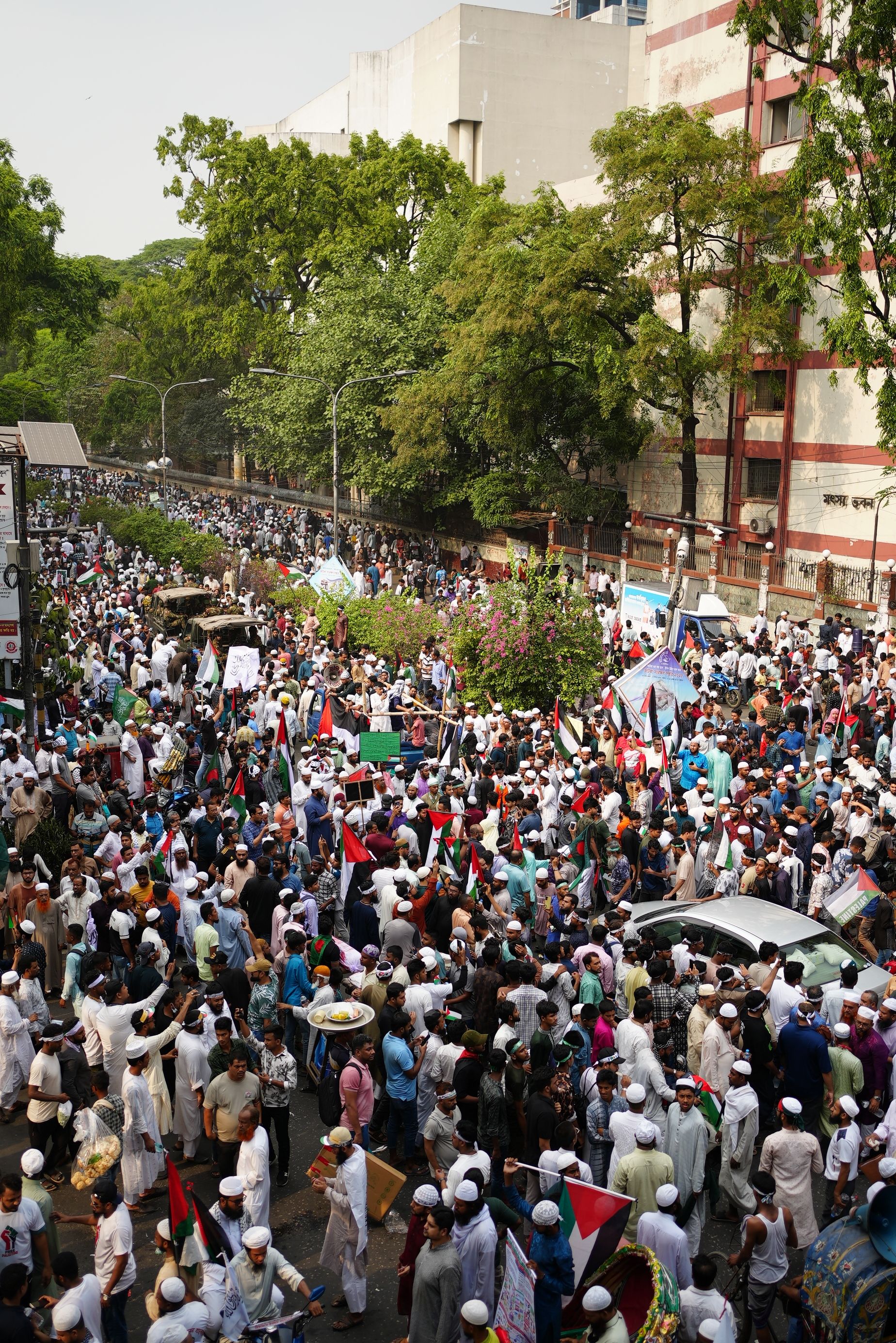 Large Crowd at Outdoor Political Protest · Free Stock Photo