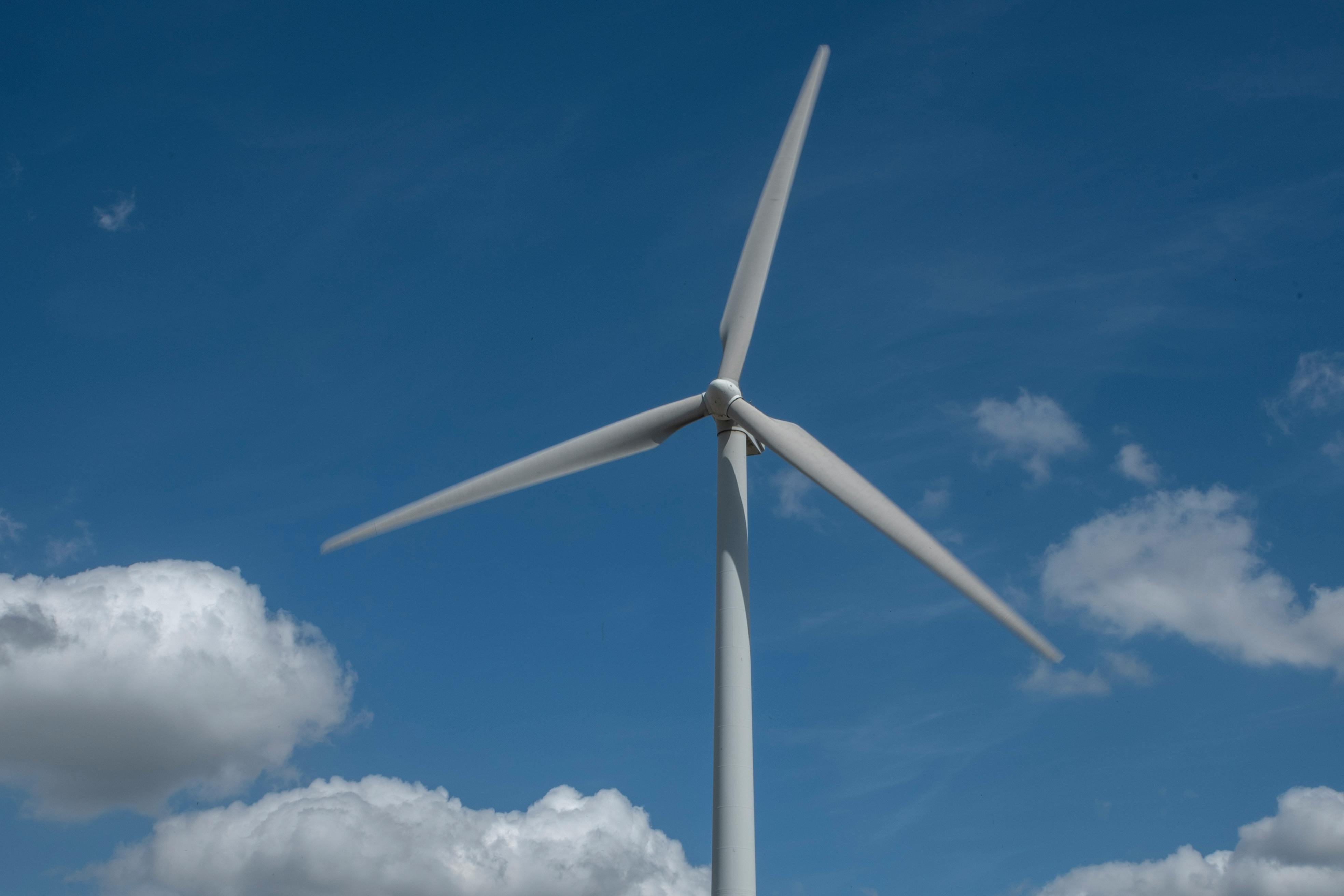 Is green energy raising your electric bill? Or state policies? It’s complicated. — Photo by Jan van der Wolf on Pexels
