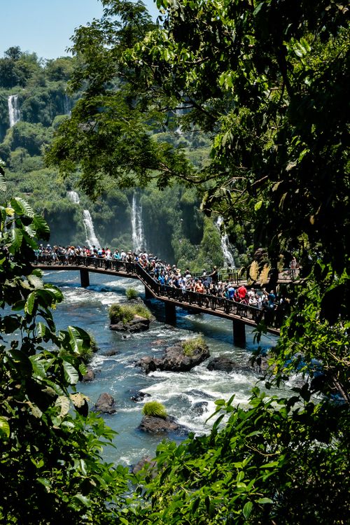 Free Tourists explore the scenic walkway at Iguazu Falls, surrounded by lush greenery and cascading waterfalls. Stock Photo