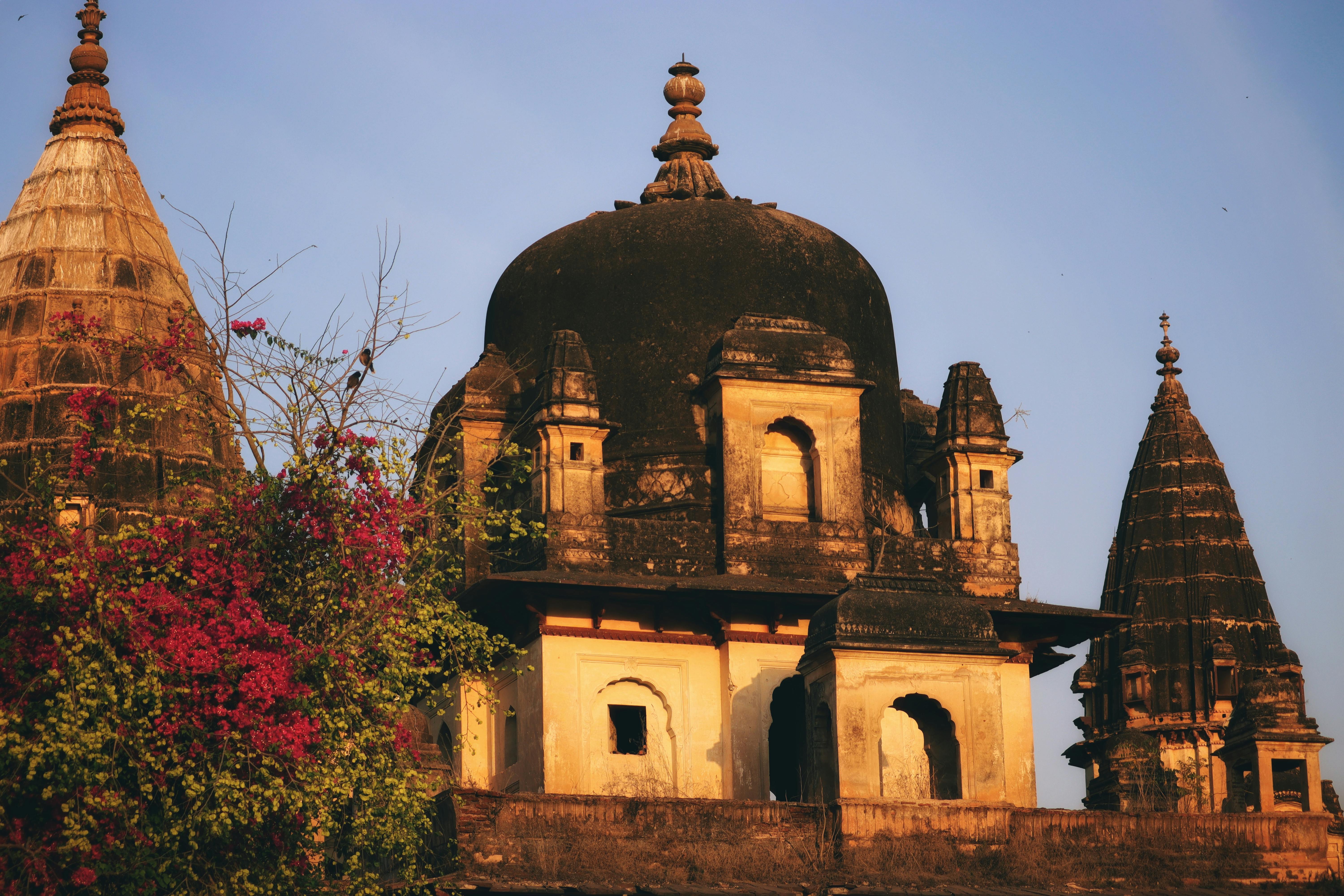 Madhya Pradesh High Court Declares Bhojshala Site a Temple, Ending Decades-Long Dispute