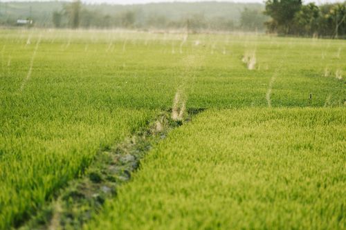 Free Serene rural landscape with vibrant green fields and irrigation sprinklers in action, showcasing sustainable farming. Stock Photo