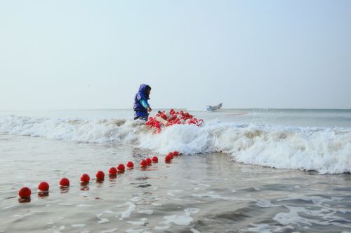 Free An adult pulls fishing nets from the sea at Cox's Bazar beach with waves crashing against the shore. Stock Photo