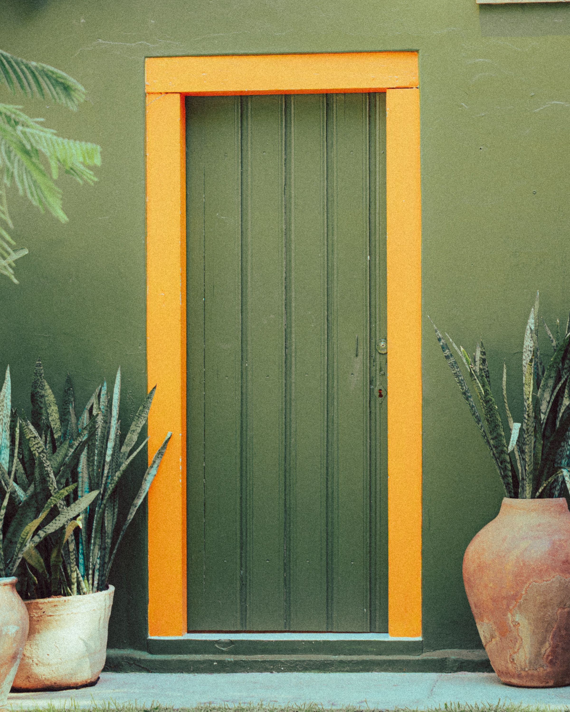 Vibrant door framed by orange, flanked by potted plants against a textured green wall.