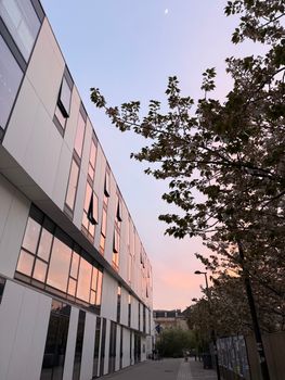 A modern building in Paris with a tree and sunset sky, reflecting warm colors.