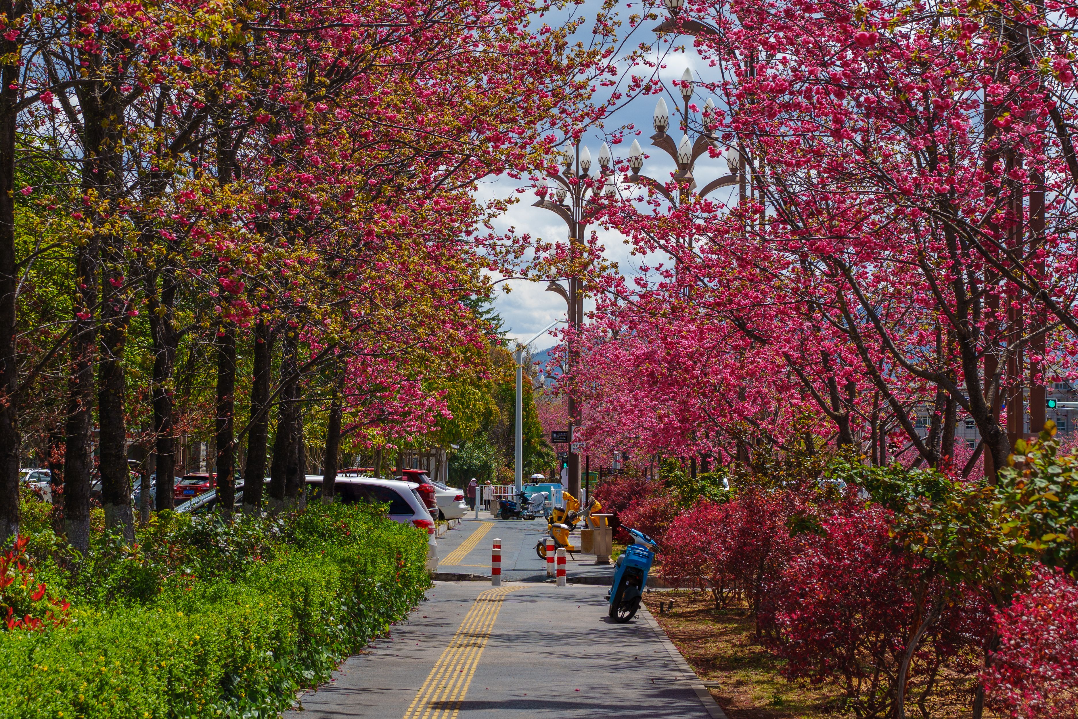 Spring Park