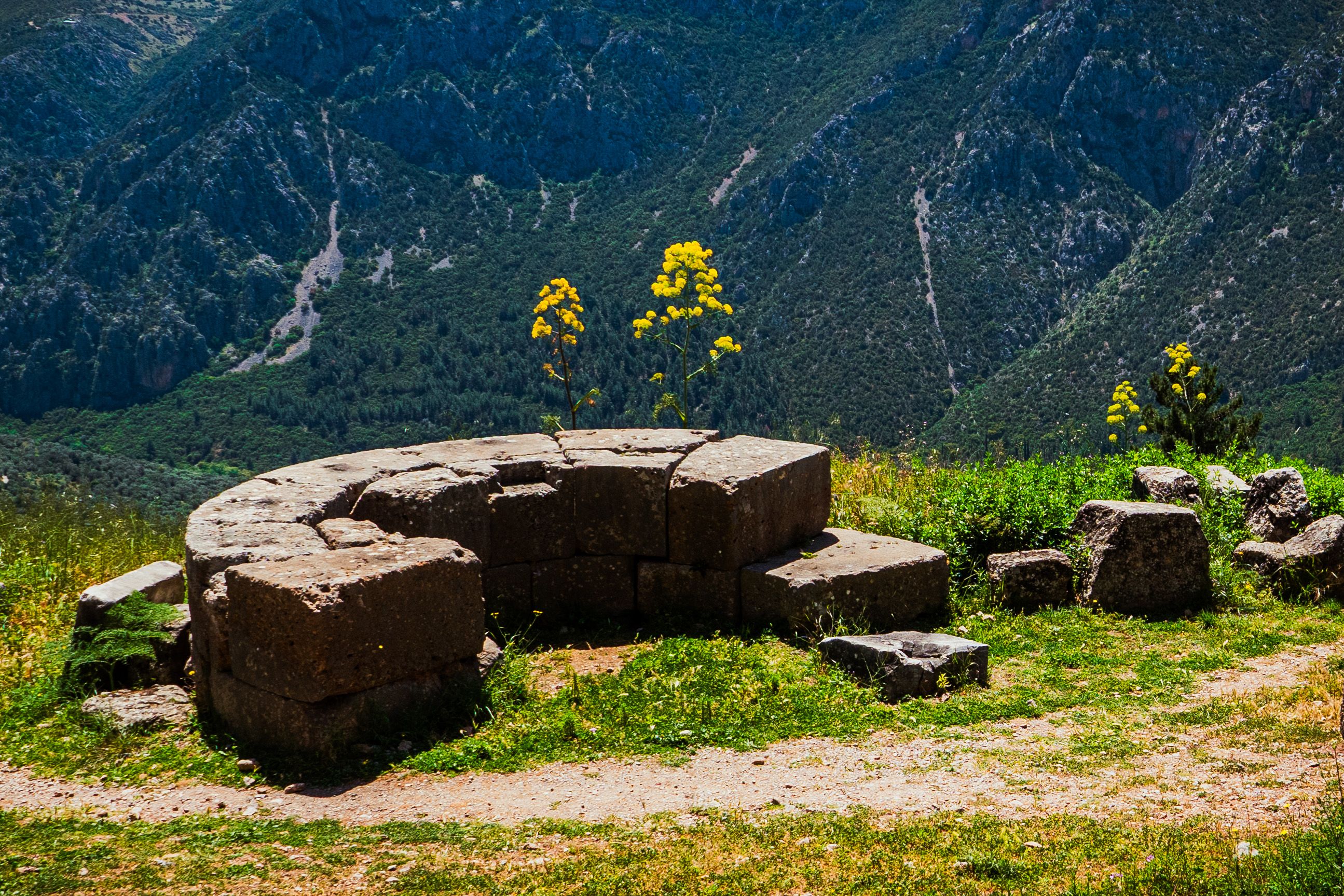 Delphi