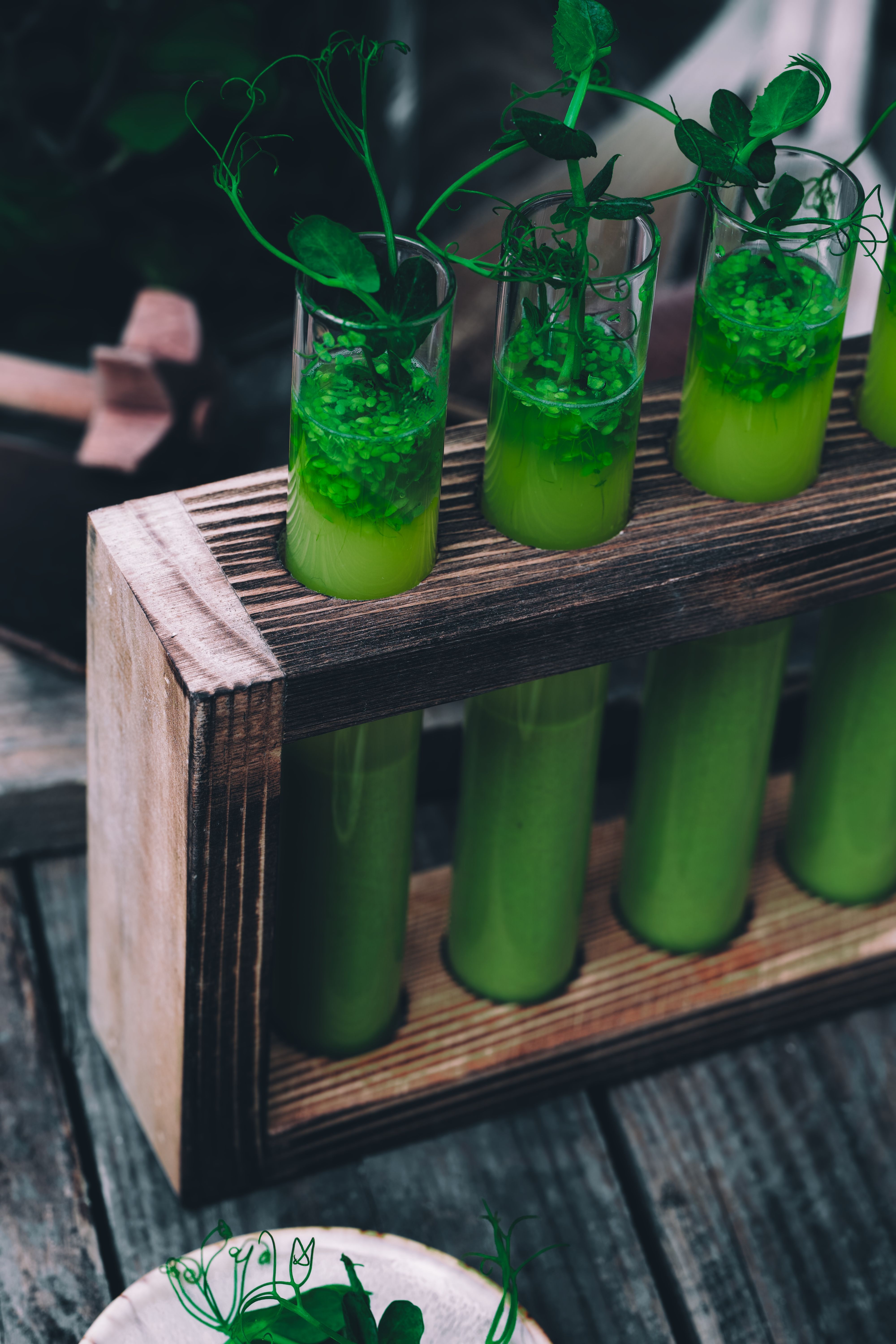 Fresh Green Smoothies in Wooden Rack · Free Stock Photo