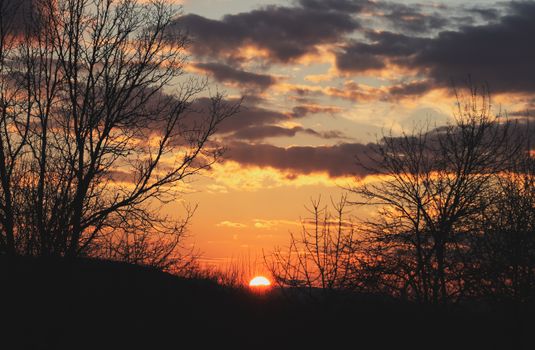 A stunning sunset captured through the silhouette of bare trees with a vibrant sky.