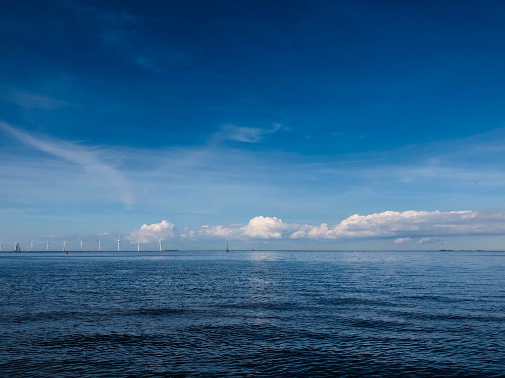 청년 교통비 지원 이미지