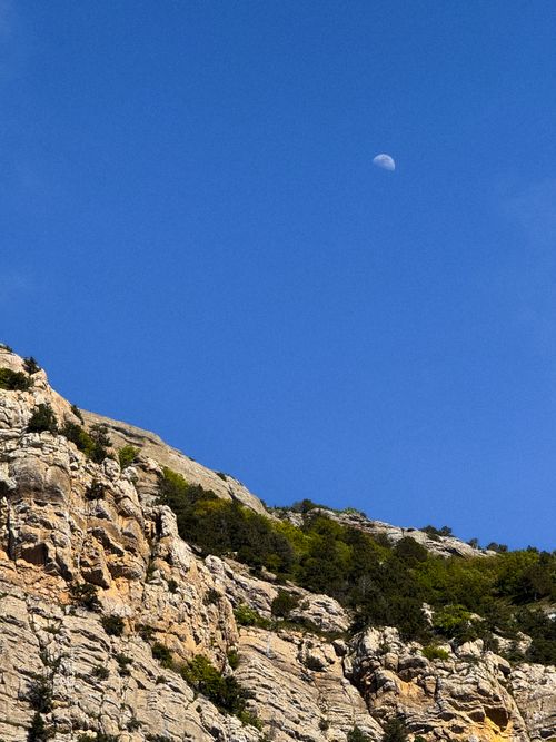 Free Capture of a rugged mountain cliff with lush greenery under a bright blue sky with a visible moon. Stock Photo