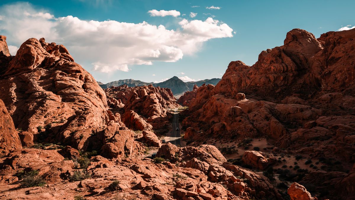 Best Free Samples in Henderson, NV: 2026 Local Guide