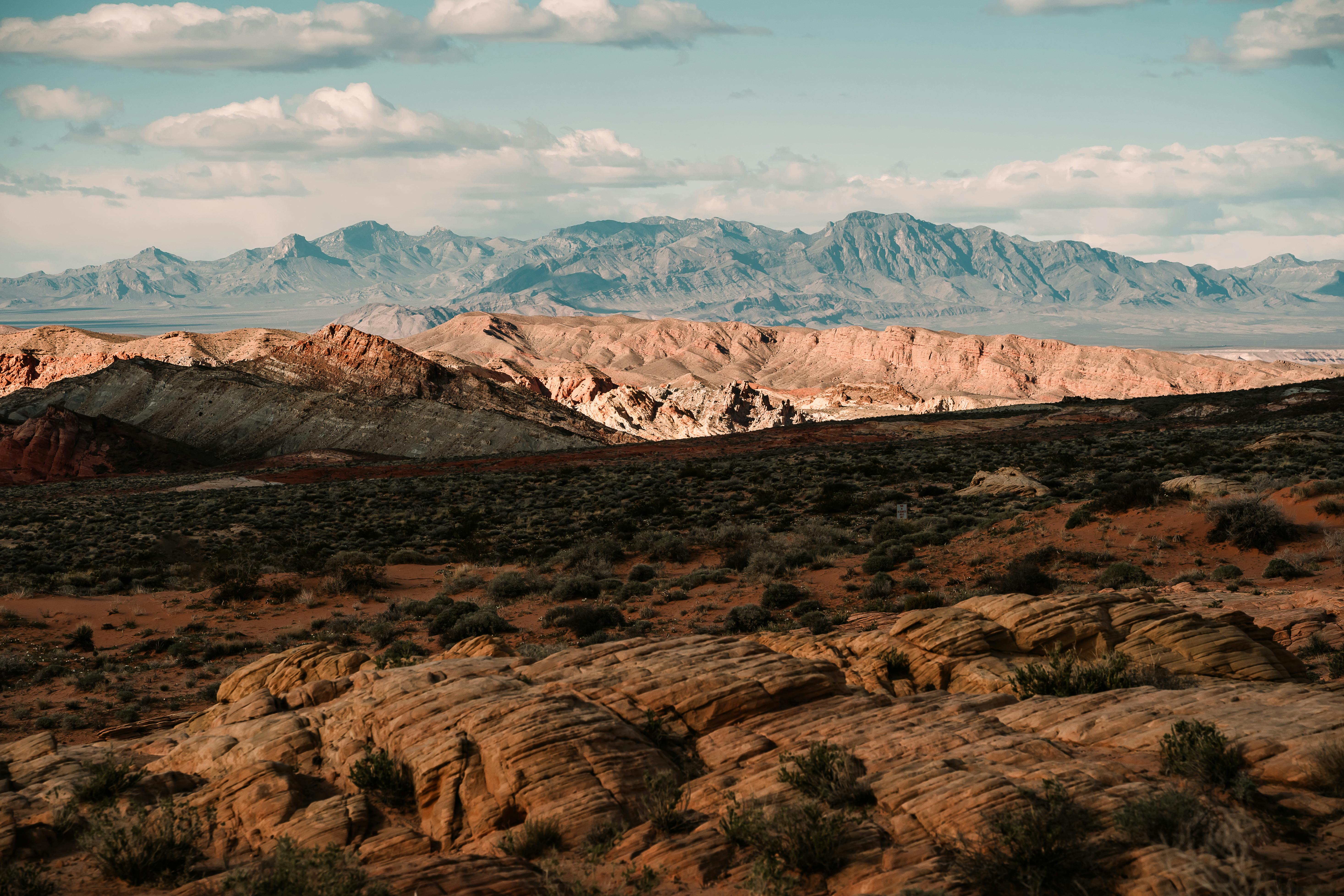 Nevada Family Law Firm Issues Guidance on Special Needs Child Custody for World Autism Awareness Day — Photo by Roy Serafin o