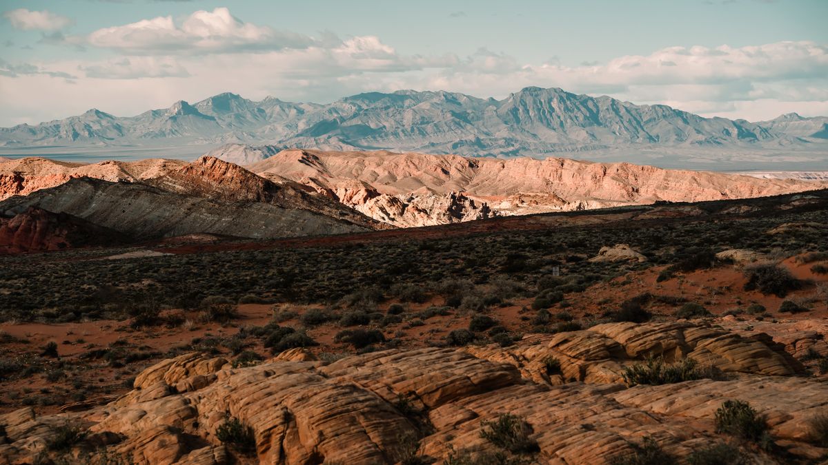 How to Enter Cash Prize Sweepstakes in Henderson, Nevada Without Scams
