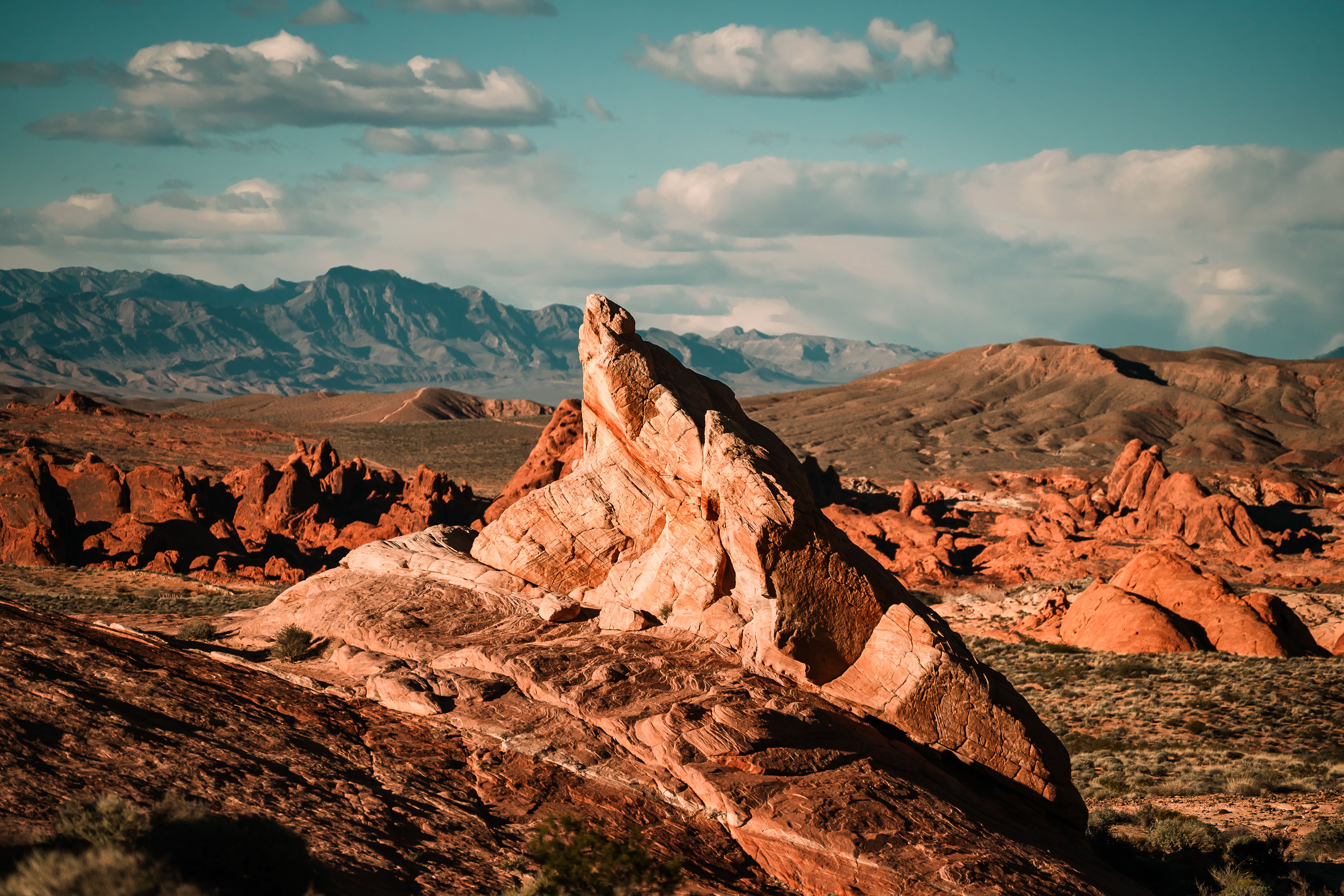 Top Henderson, NV Back-To-School Giveaways With No Purchase Necessary: Safe Entry Guide