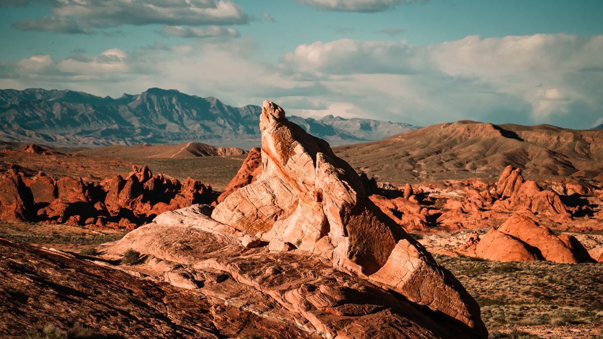 Top Henderson, NV Back-To-School Giveaways With No Purchase Necessary: Safe Entry Guide