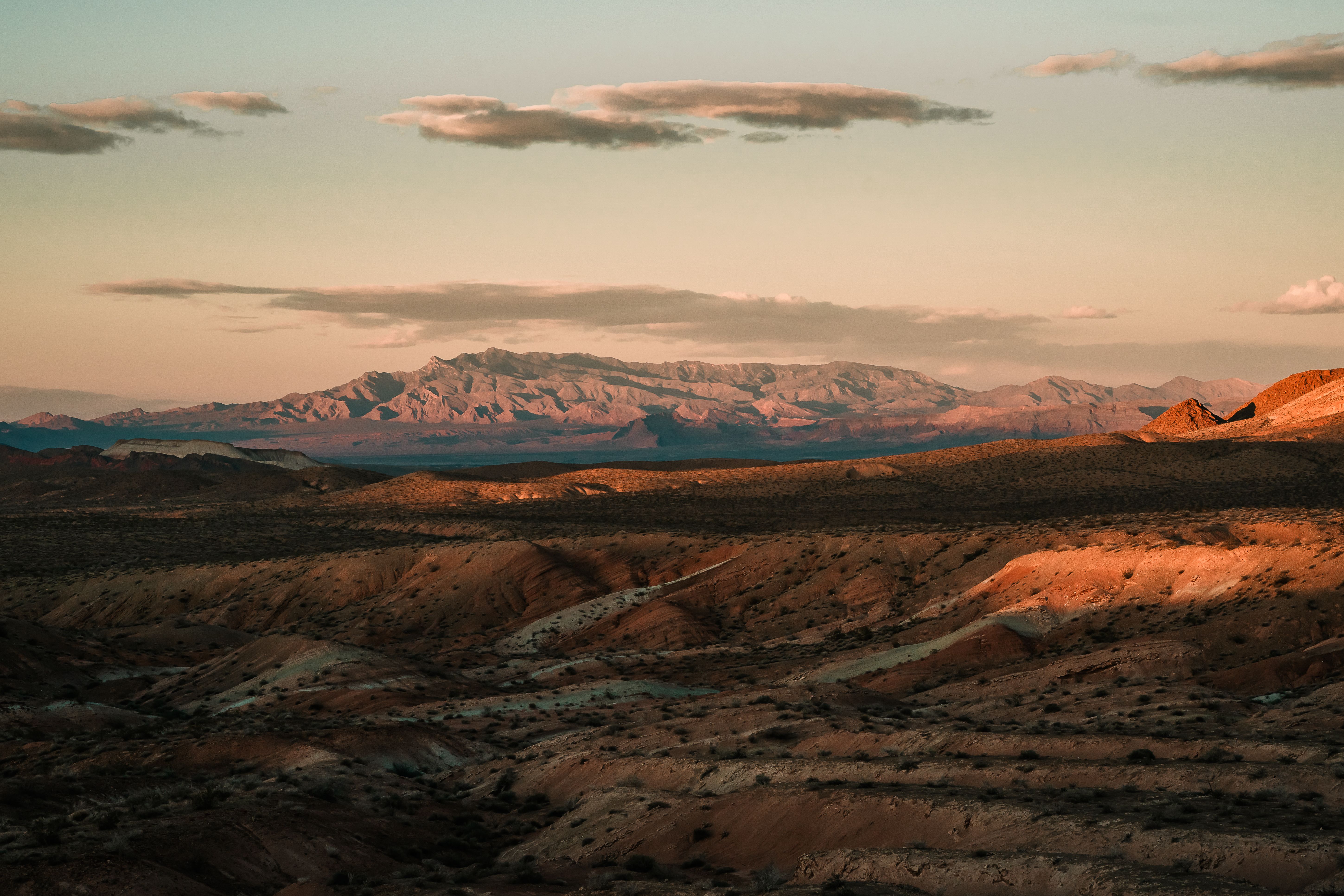 Birthday Freebies in Henderson, NV: Updated 2026 List for Local Winners