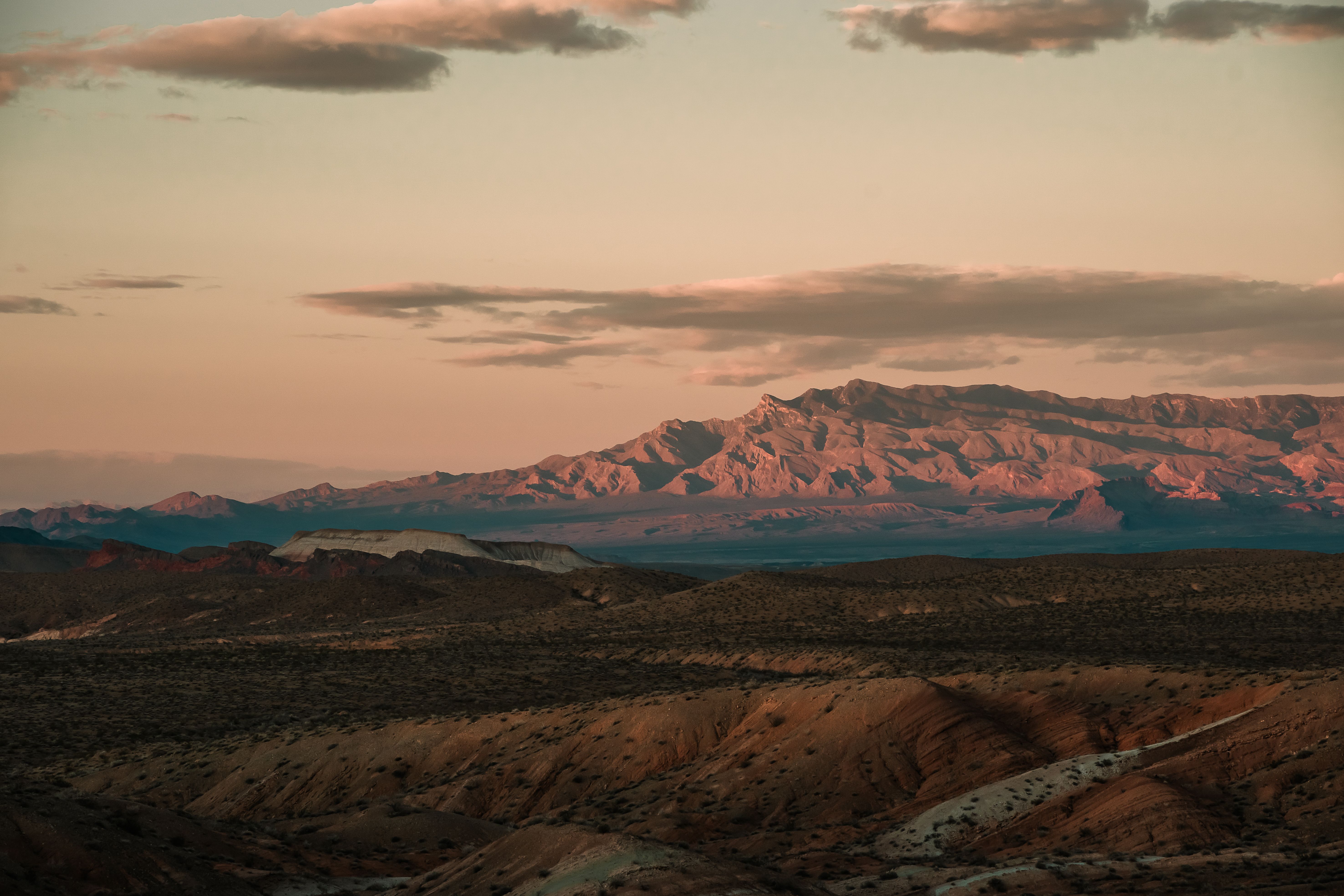 Henderson, NV Birthday Freebies Near Me: Where to Find Legit Deals